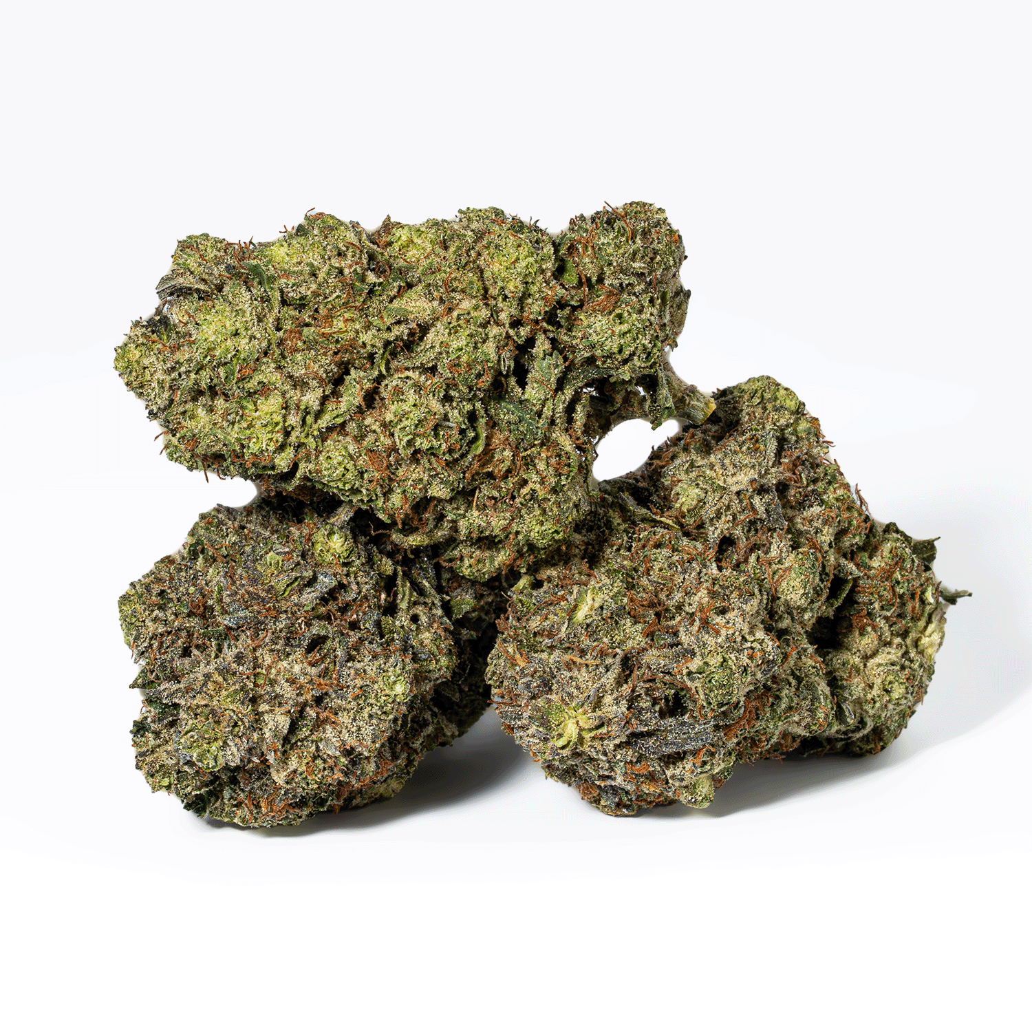 Smooth Operator (AAA+)