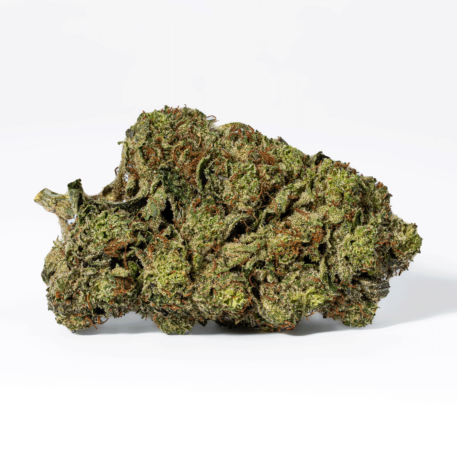 Smooth Operator (AAA+) - Image 2