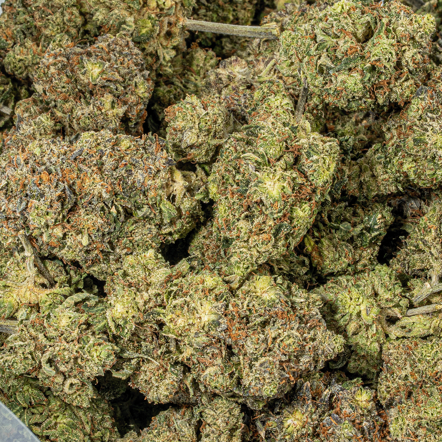 Smooth Operator (AAA+) - Image 3