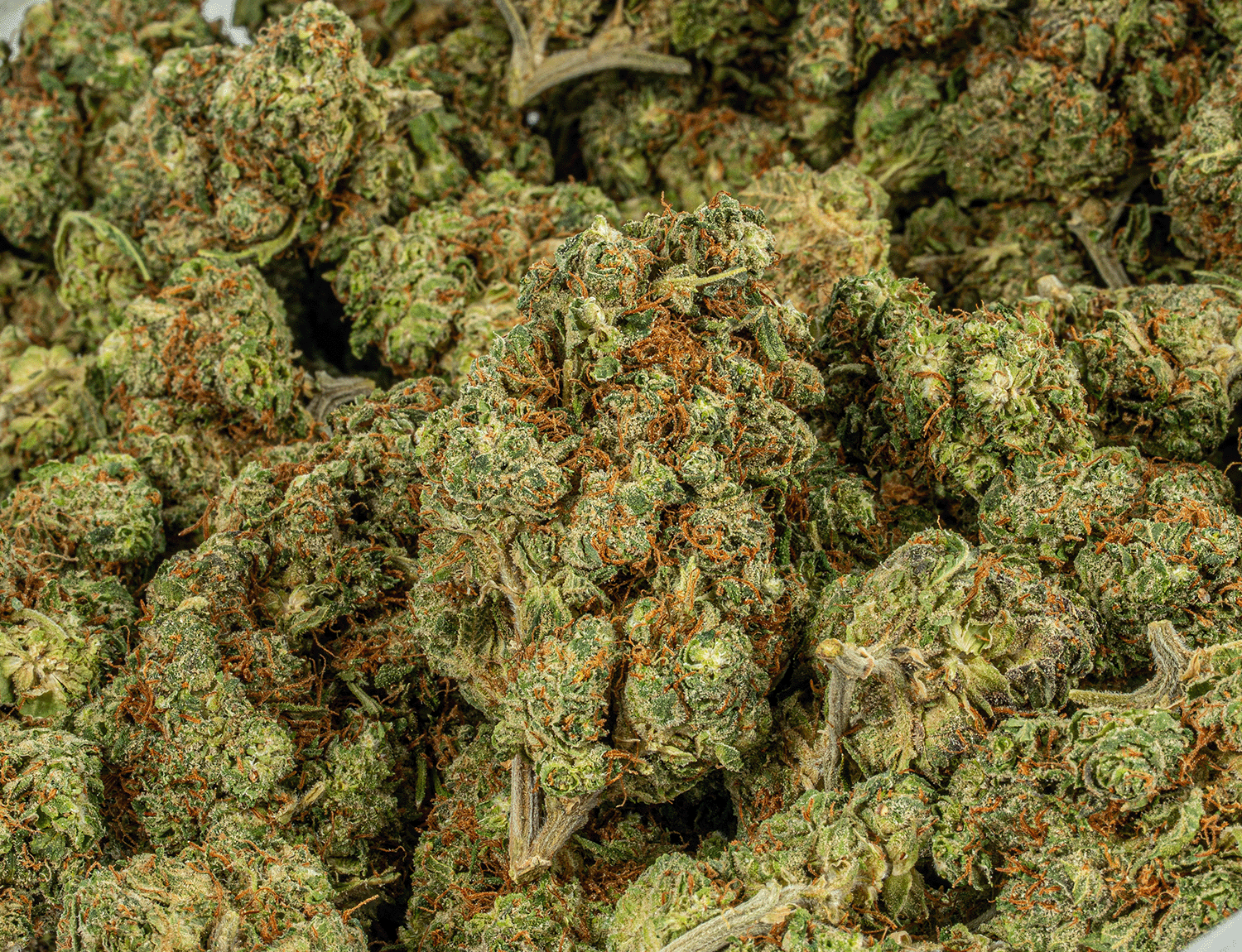 OJ Kush (AA+) - Image 4