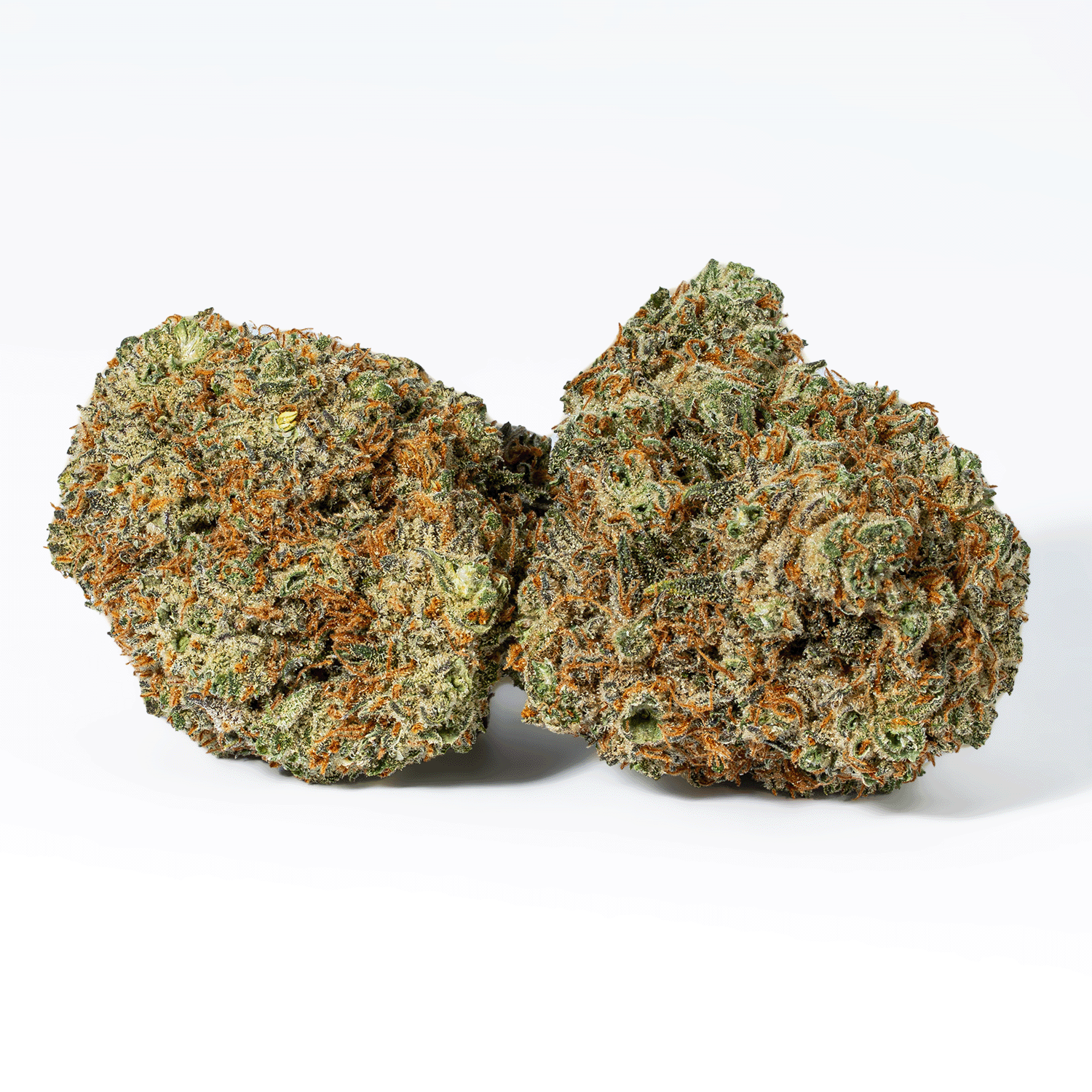 Blackberry Headband (AAA+) - Image 2