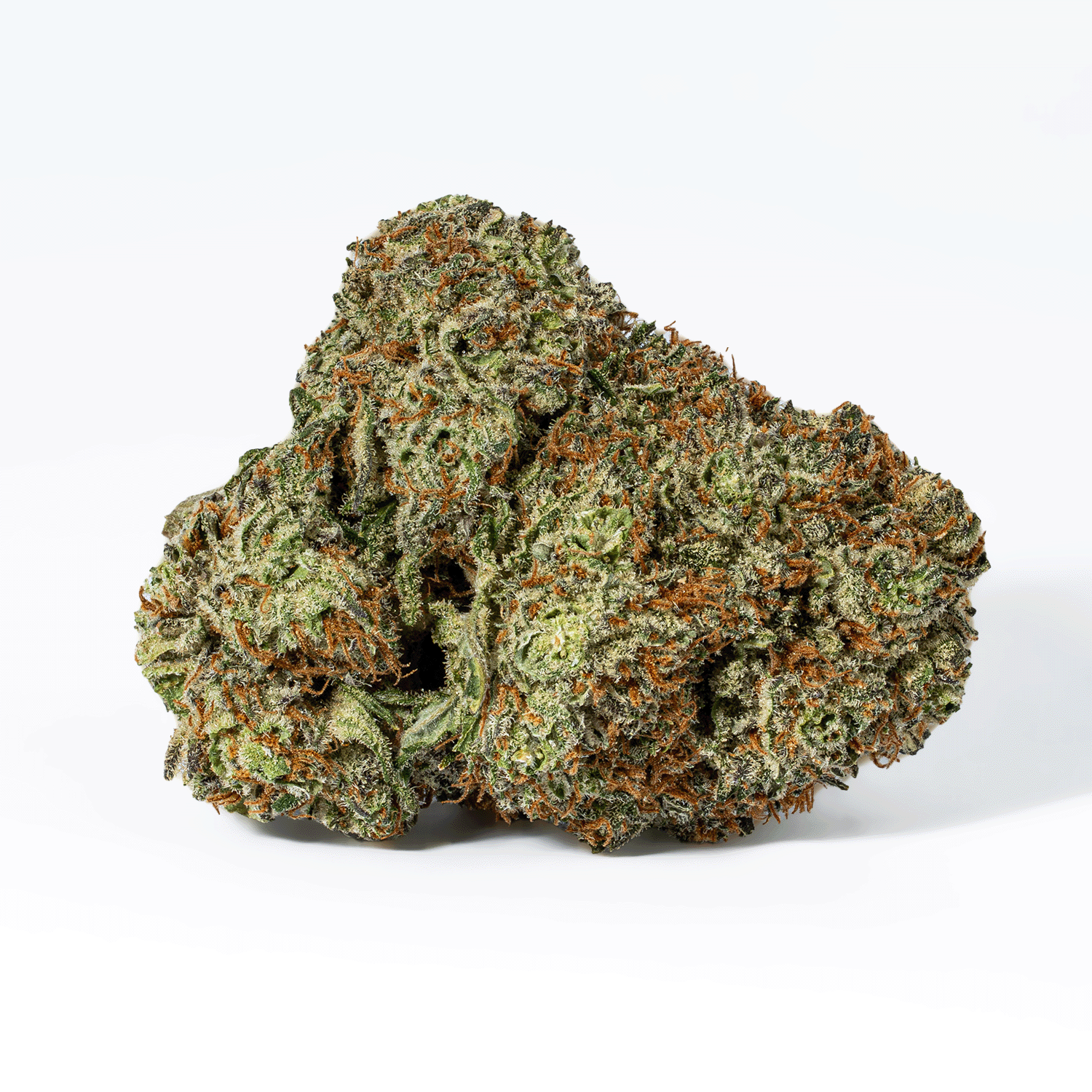 Blackberry Headband (AAA+) - Image 3