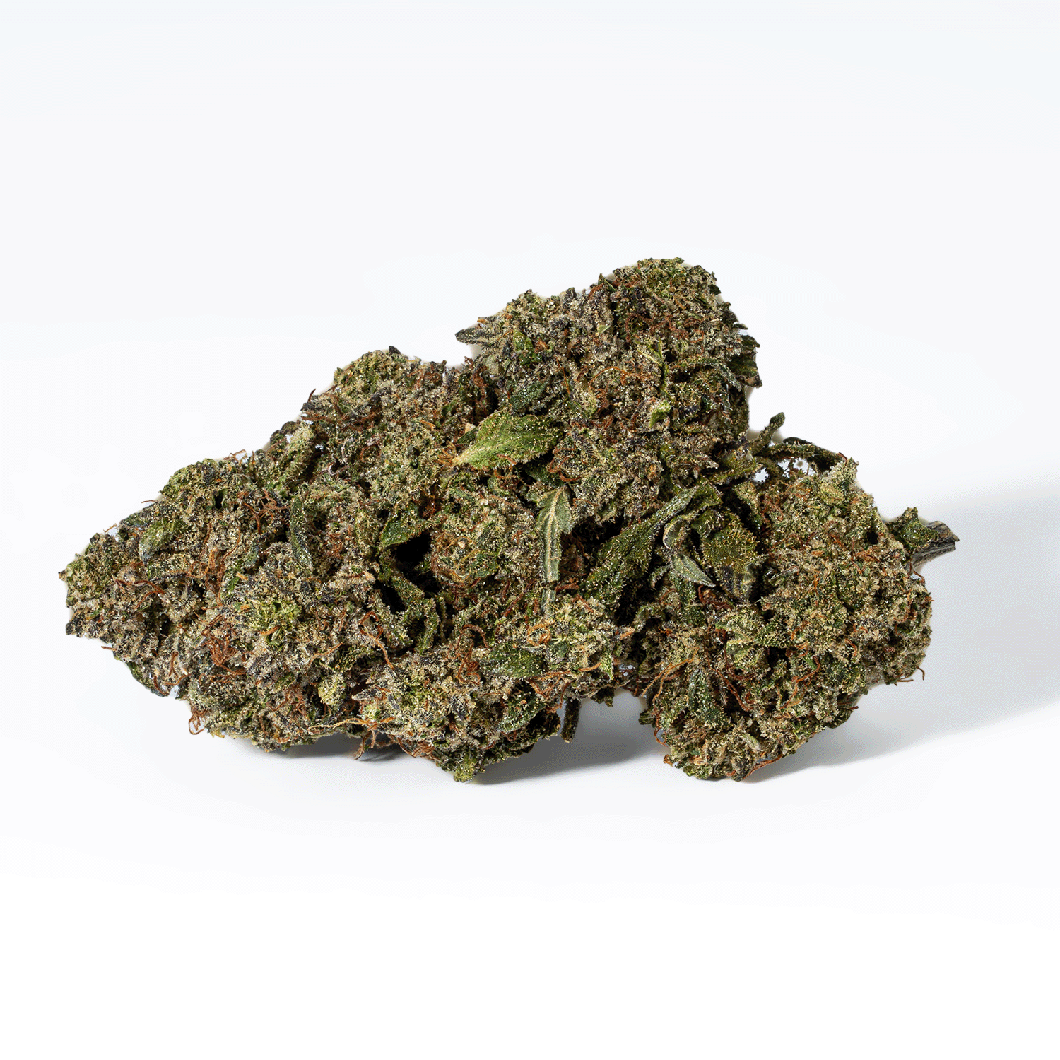 Comatose (AAA+) - Image 3