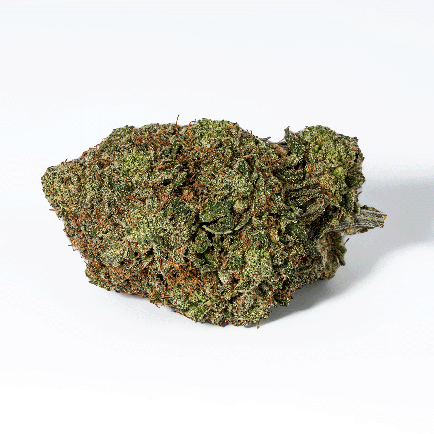 Paradise Waits (AAA+) - Image 3