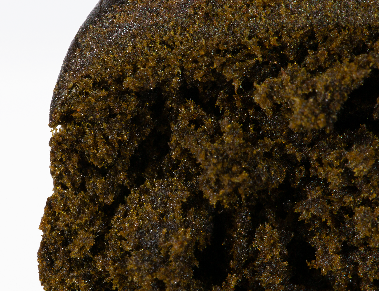 Phoenix Hash - Image 3