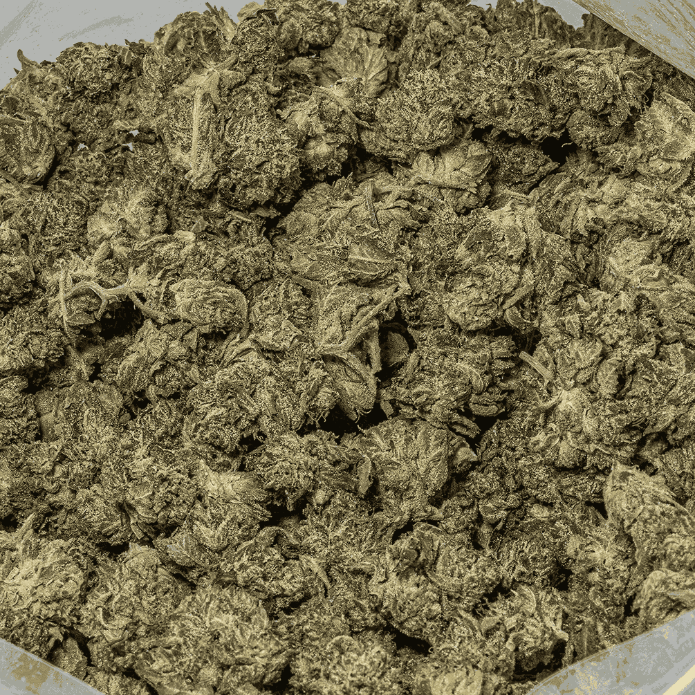 Death Walker Smalls (AAAA) - Image 4