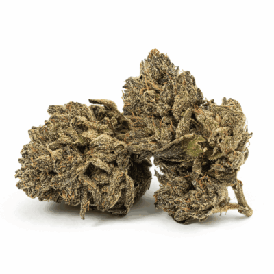 Purple Picasso (AAAA)