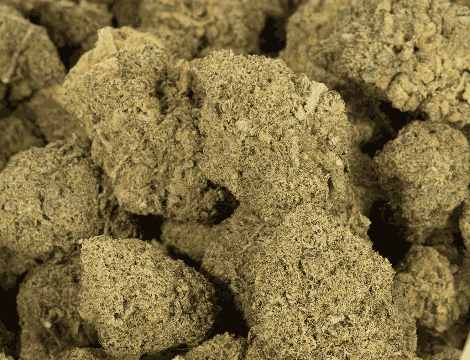 Black Diamond (AA) - Image 5