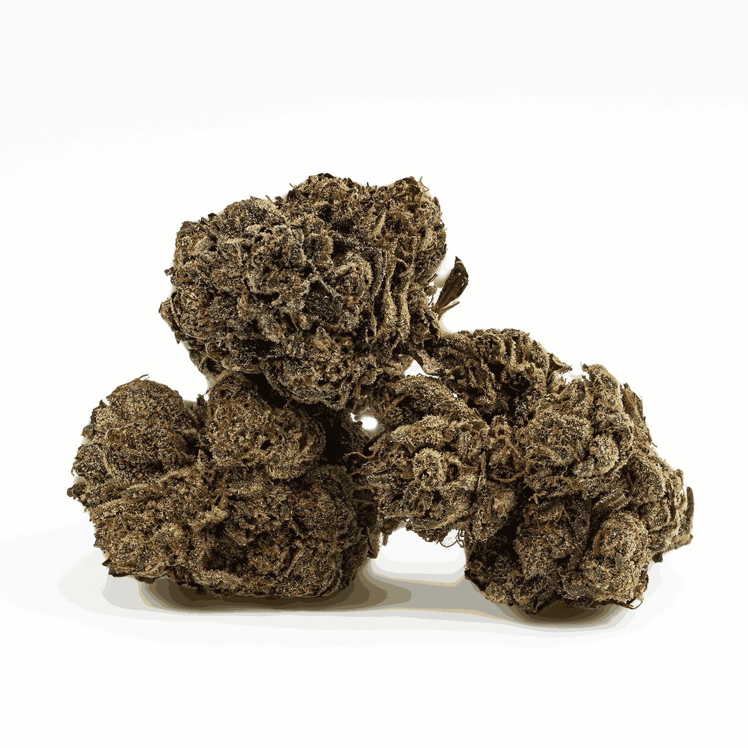 Gasolina (AAAA+) - Image 2