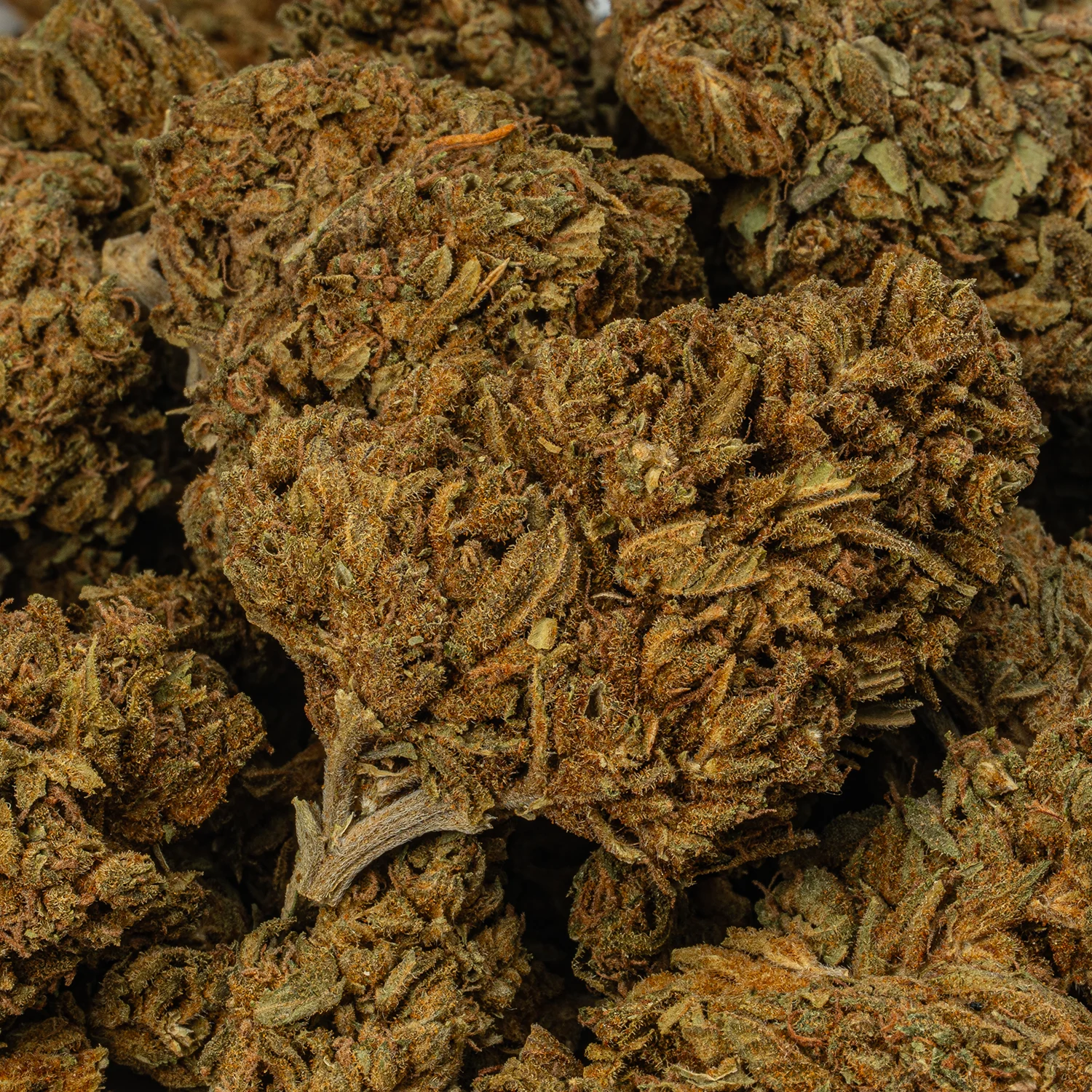 Golden Haze (A) - Image 3