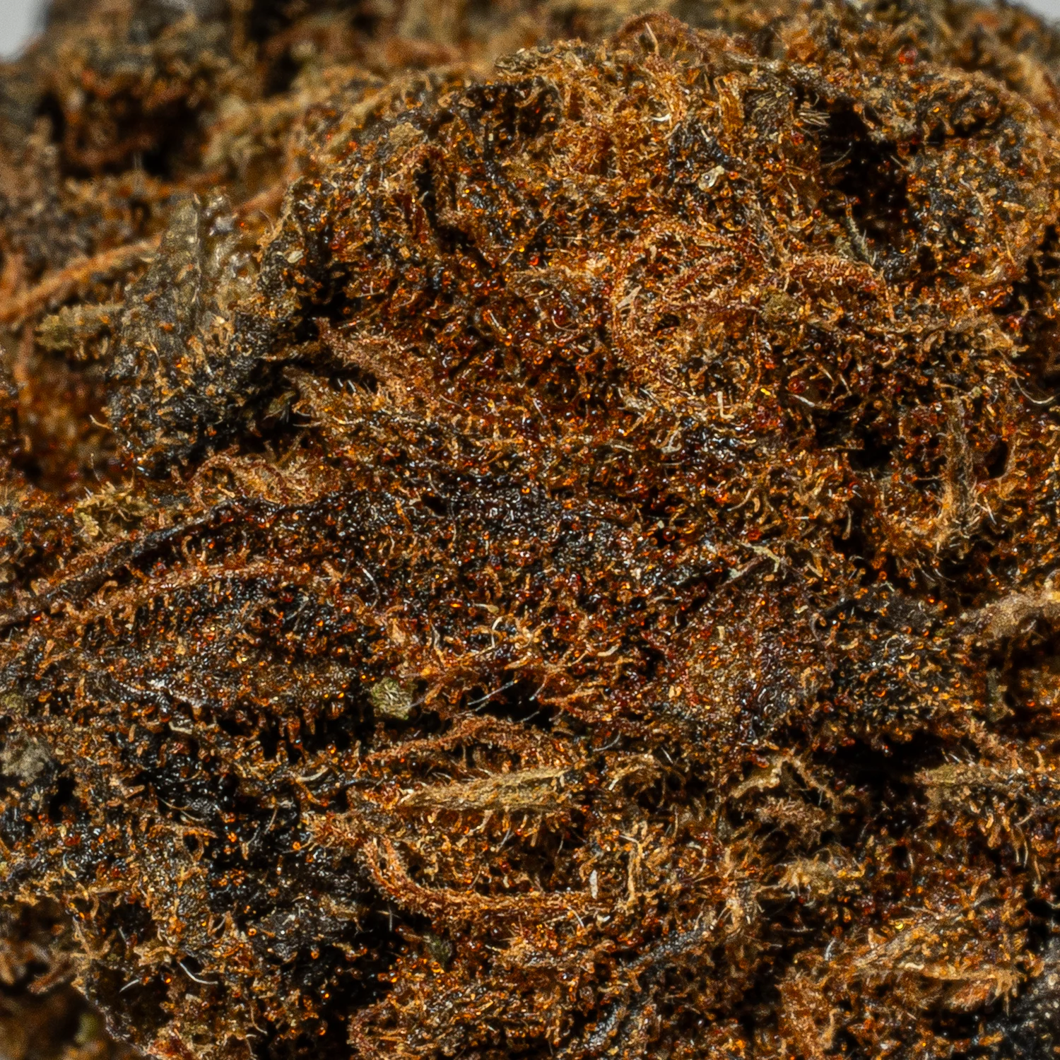 Irish Cream (A) - Image 4