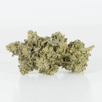 Northern Lights (AAA)