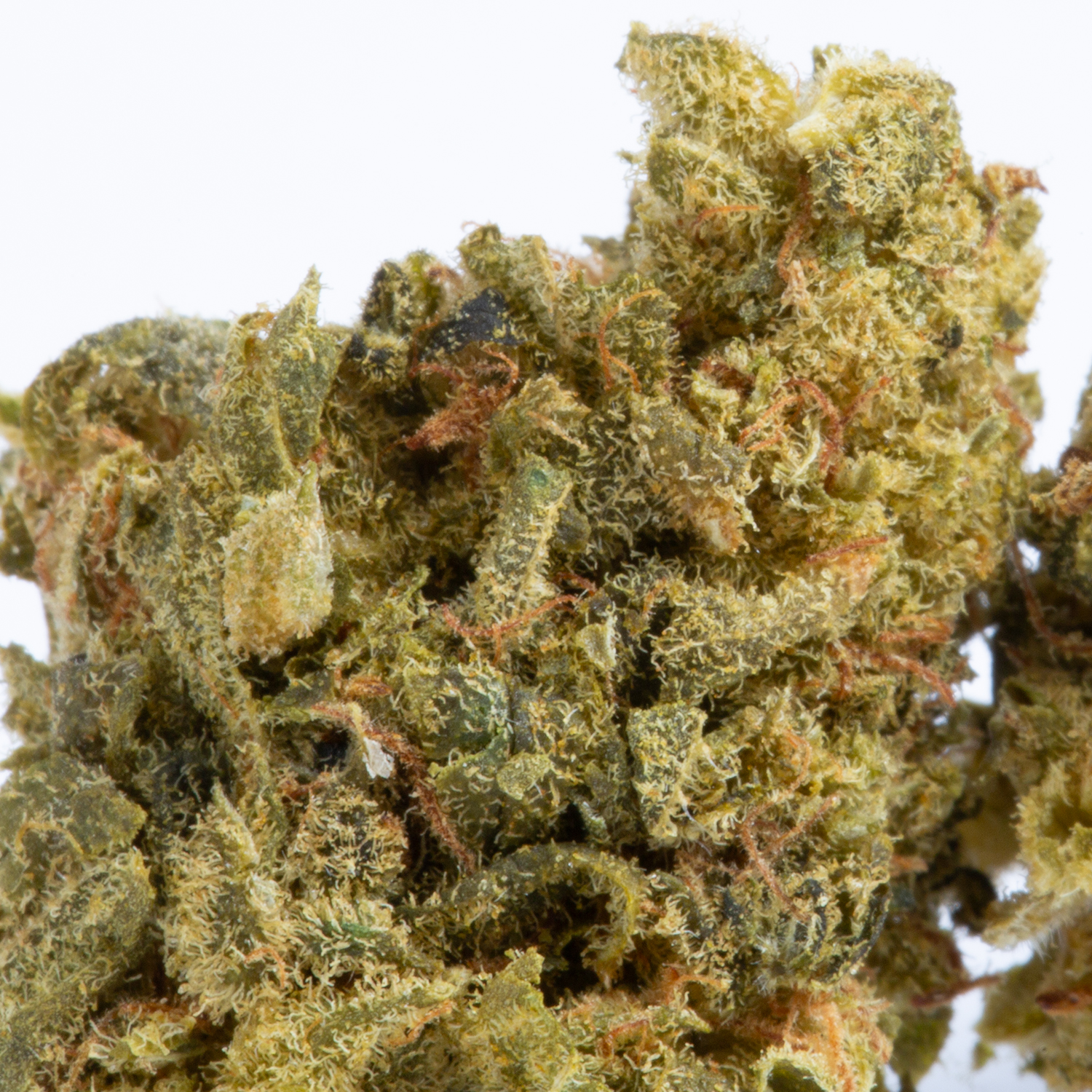 White Castle (AA) - Image 2