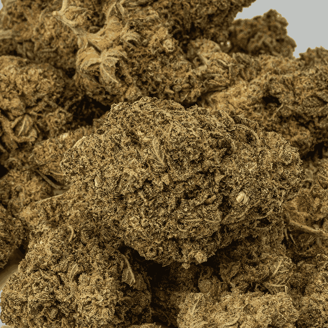 Gello (AAA) - Image 4