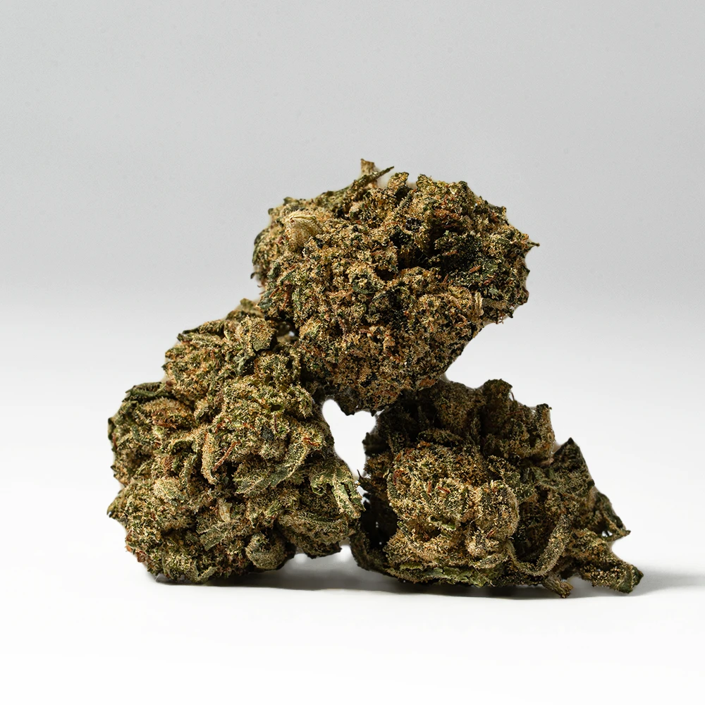 (Smalls) Red Octane (AA) - Image 3