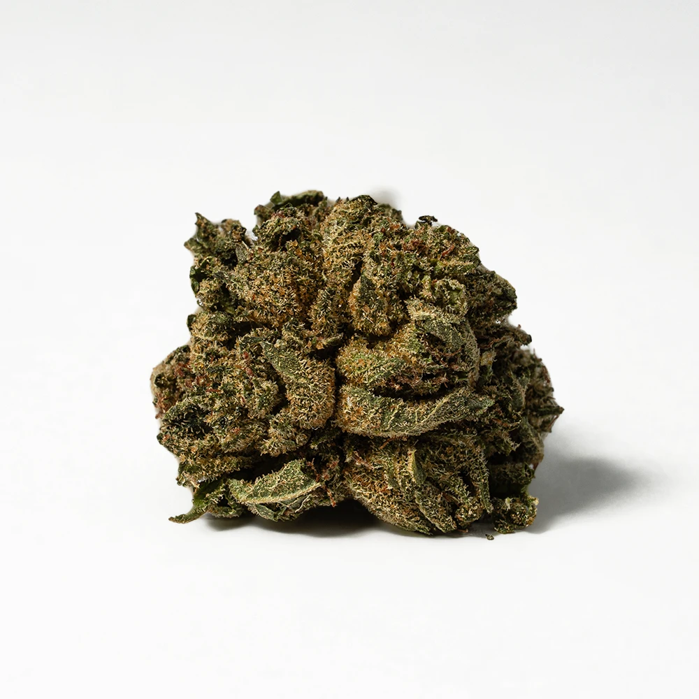 (Smalls) Red Octane (AA) - Image 2