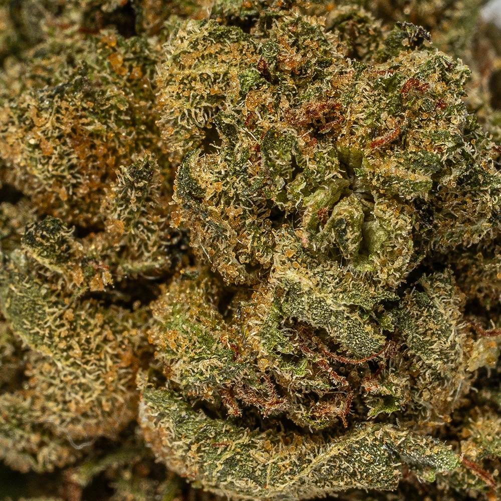 (Smalls) Red Octane (AA) - Image 5