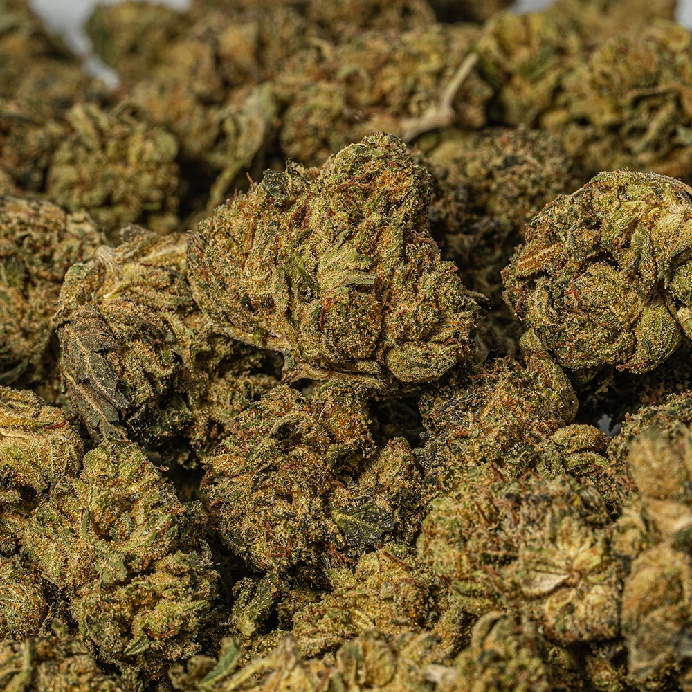 (Smalls) Red Octane (AA) - Image 4