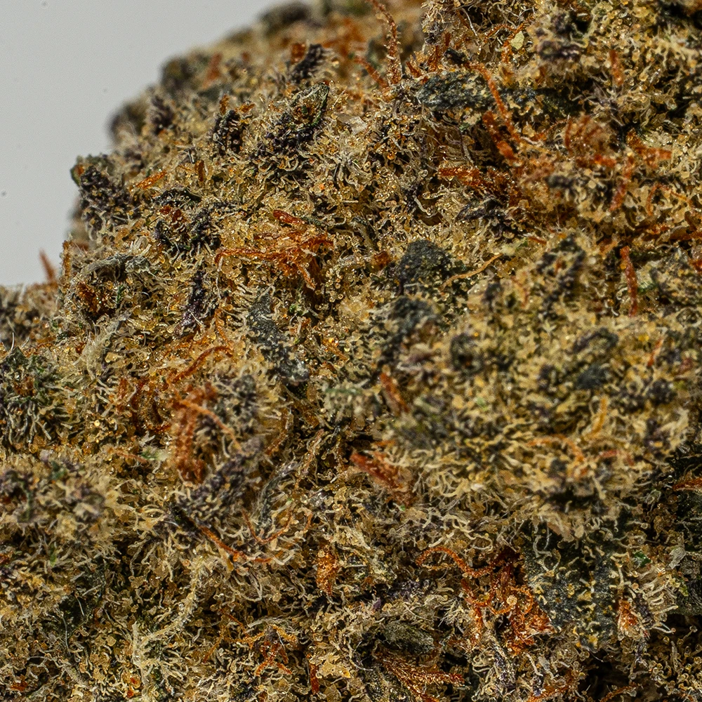 Waffle Cone (AAA+) - Image 4