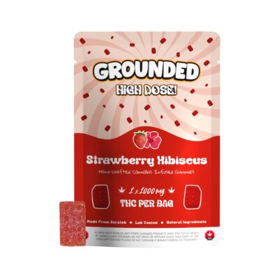 Grounded High Dose Bricks - Strawberry Hibiscus 1000mg