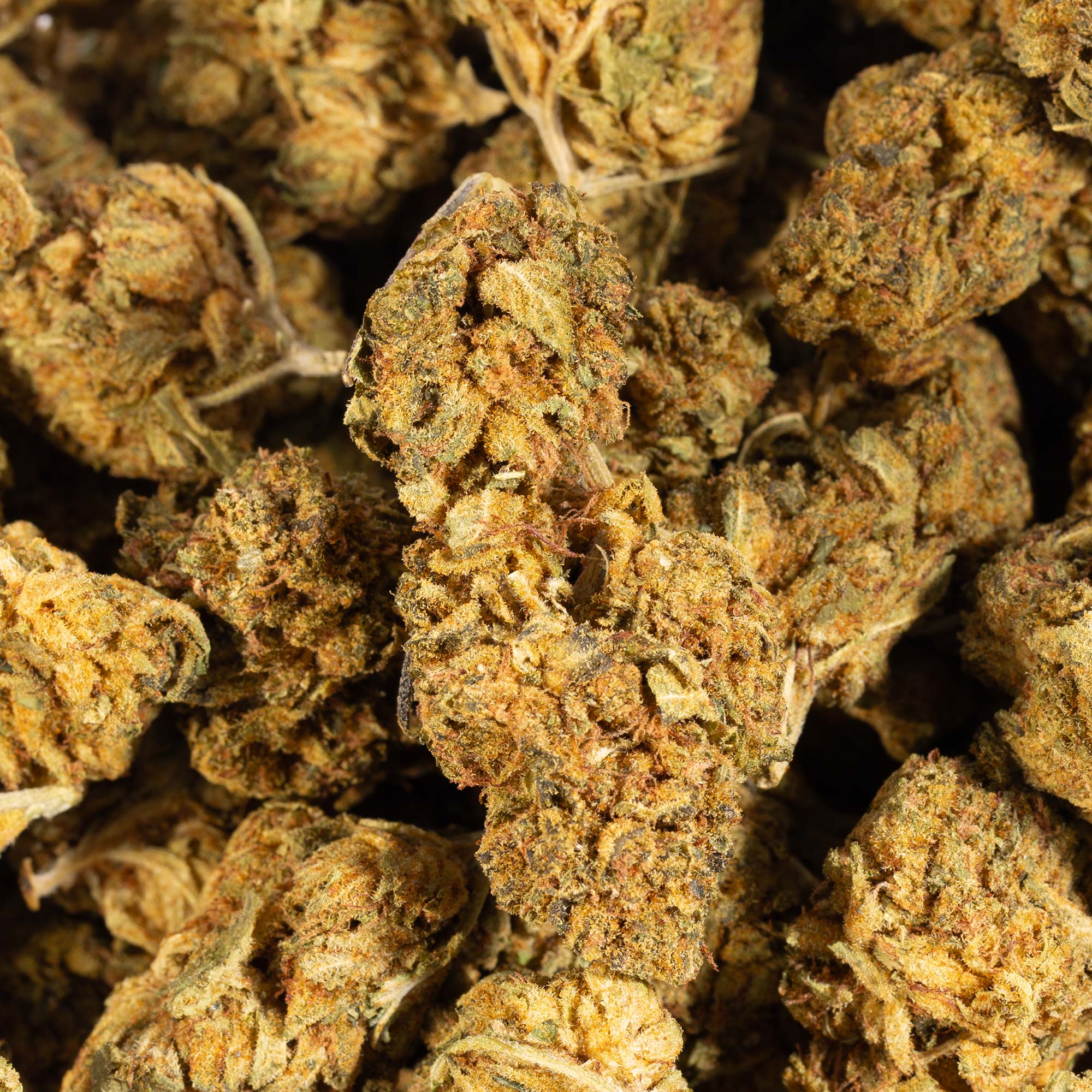 Love Potion #1 AA (Promo) - Image 5