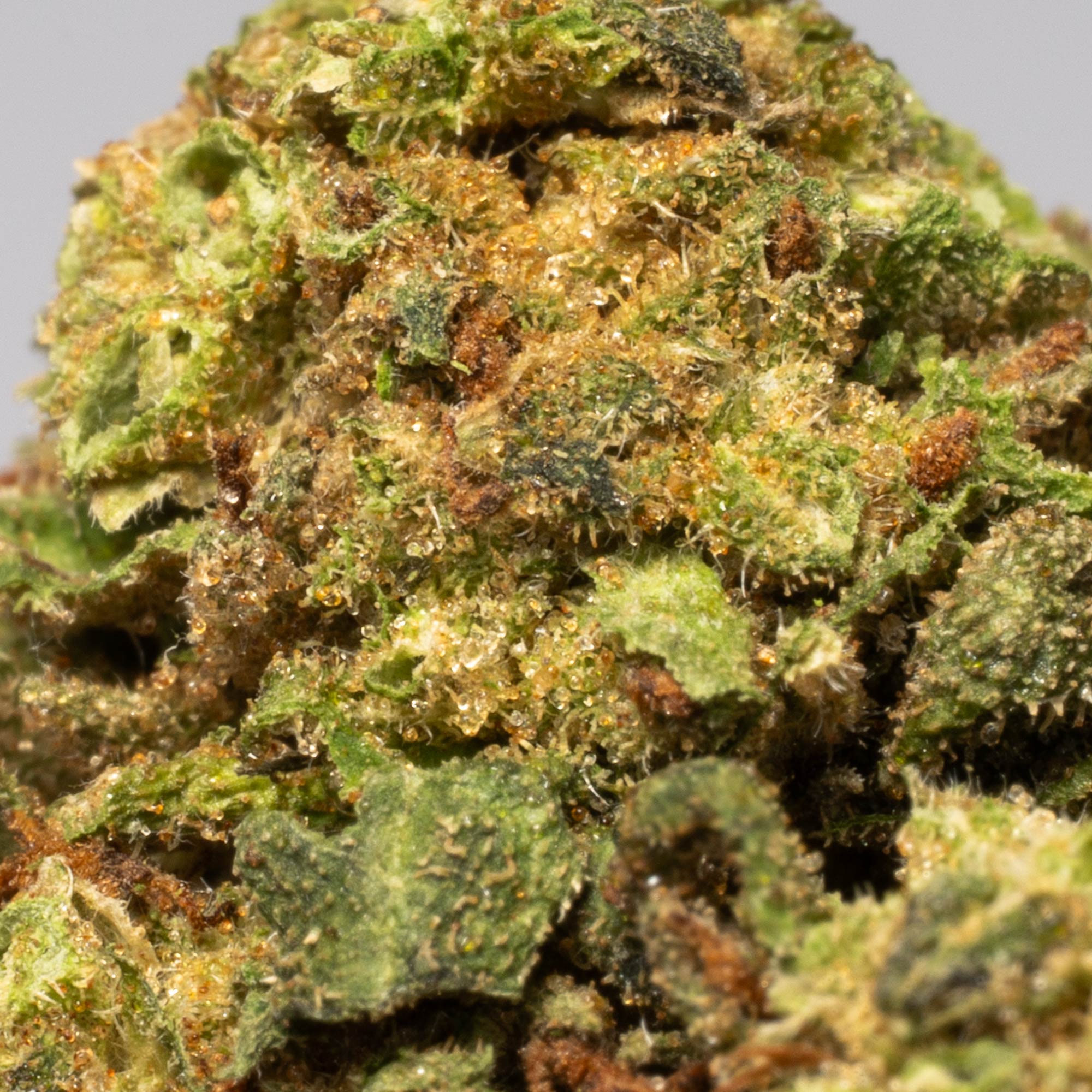 Strawberry AA (Promo) - Image 3