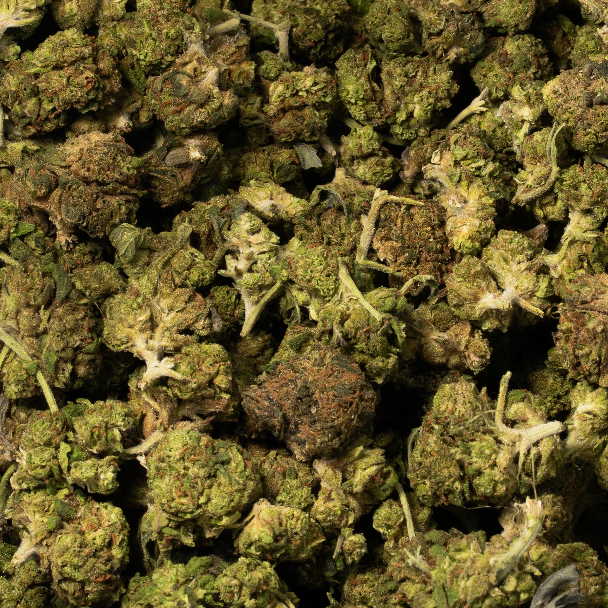 Strawberry AA (Promo) - Image 5