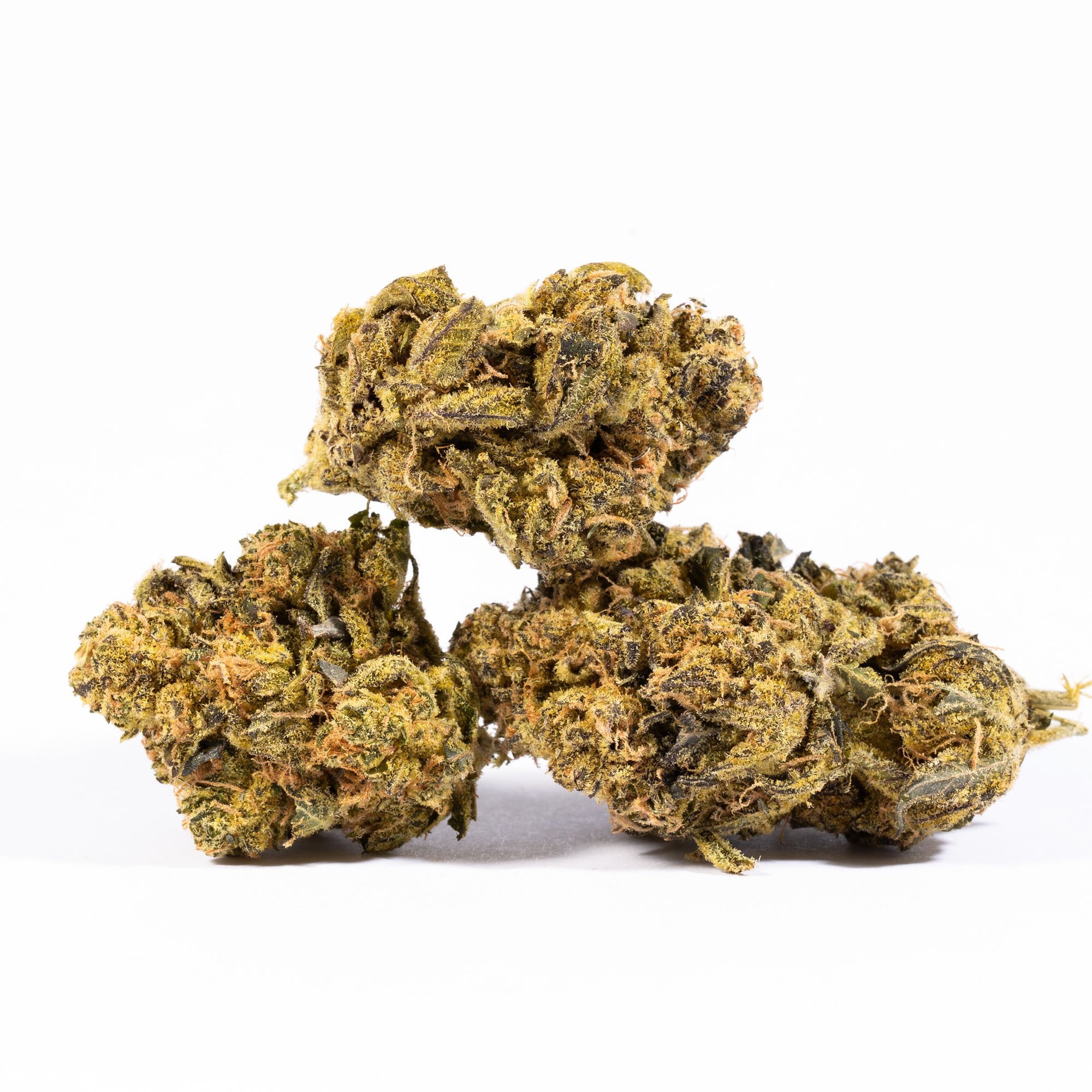 Cheese Wiz (AA+) - Image 2