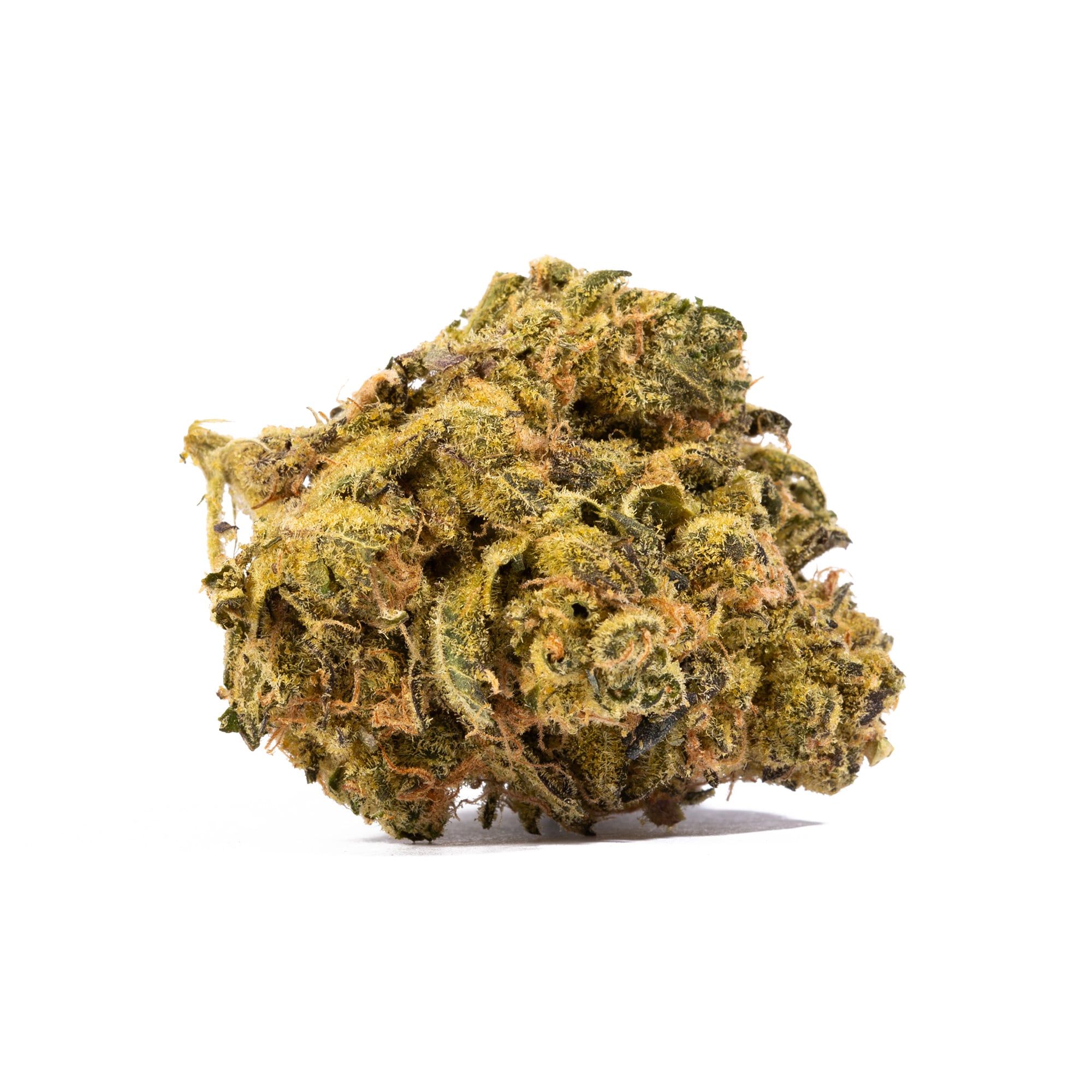 Cheese Wiz (AA+) - Image 3