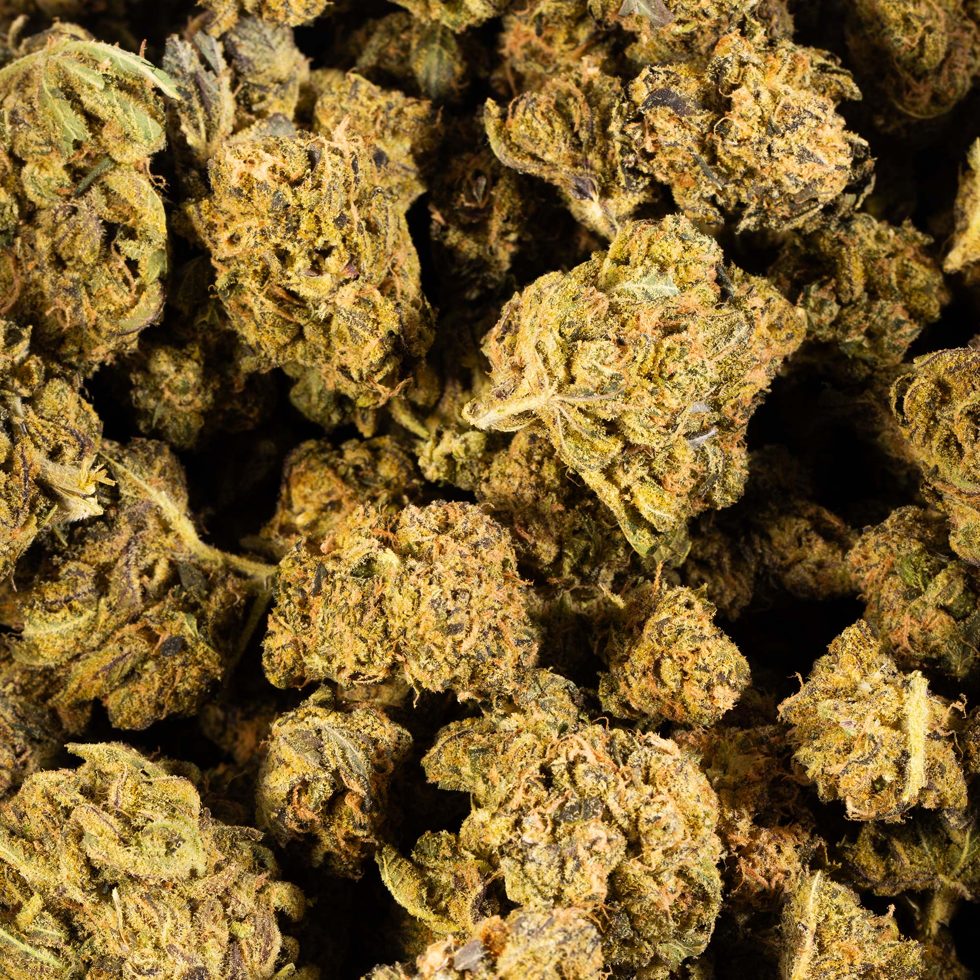 Cheese Wiz (AA+) - Image 5