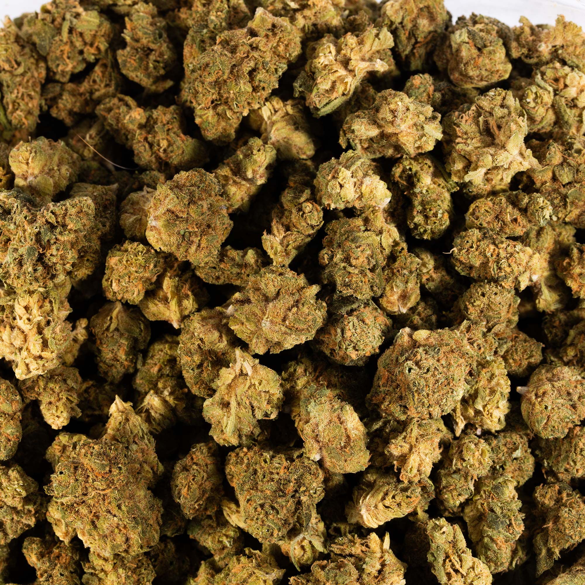 Jack Herer Smalls (AA) - Image 5