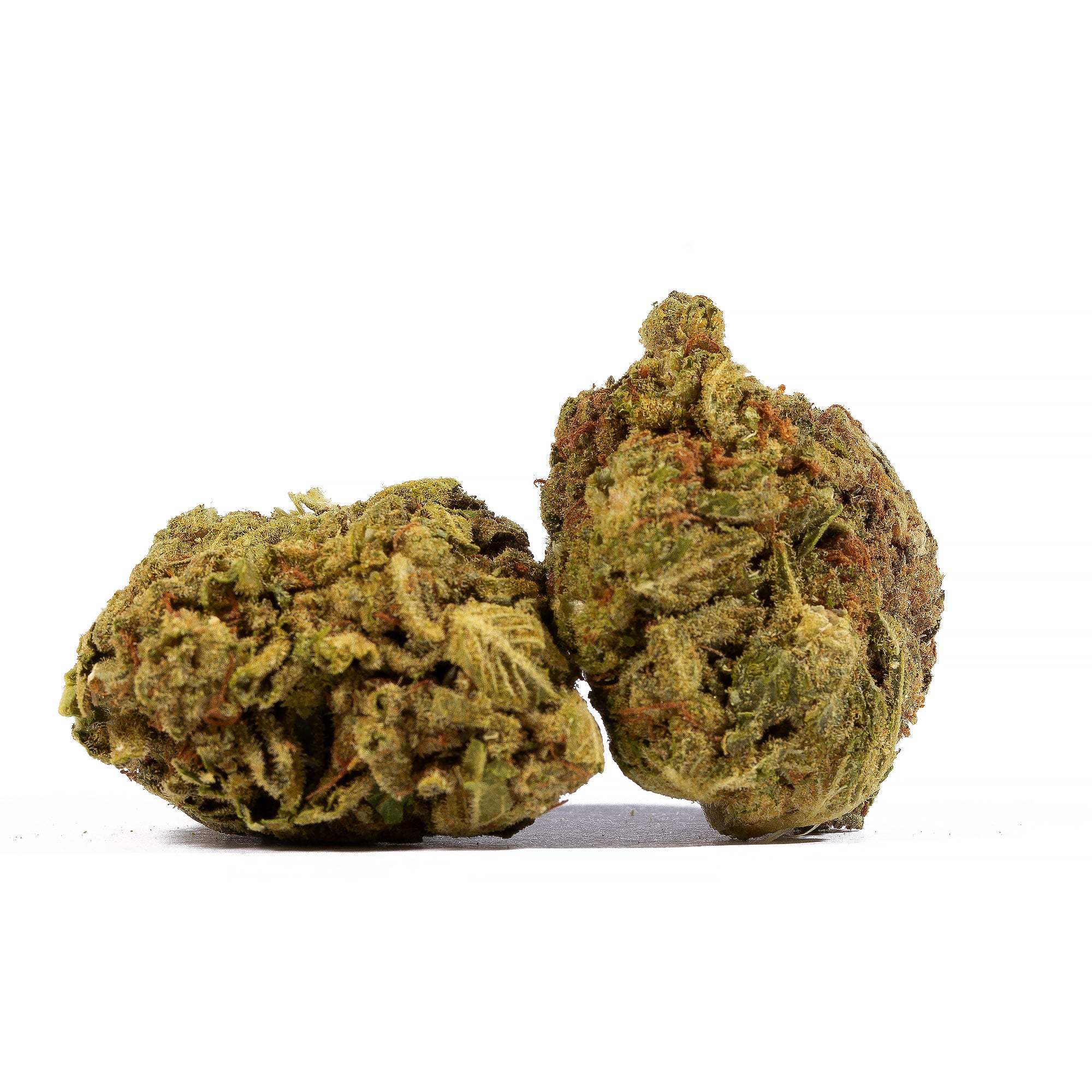 Mango Tango (A) - Image 2