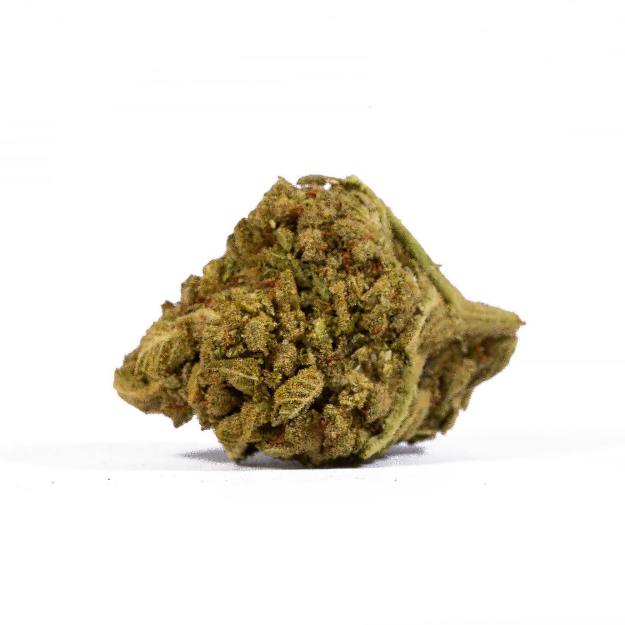 Mango Tango (A) - Image 5