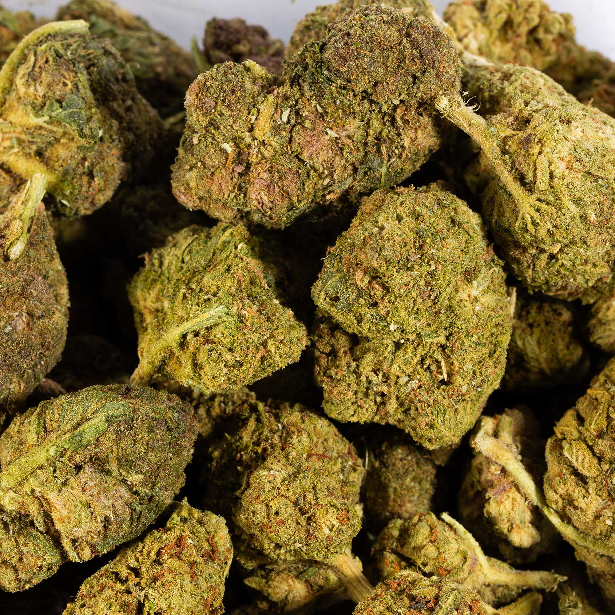 Mango Tango (A) - Image 3