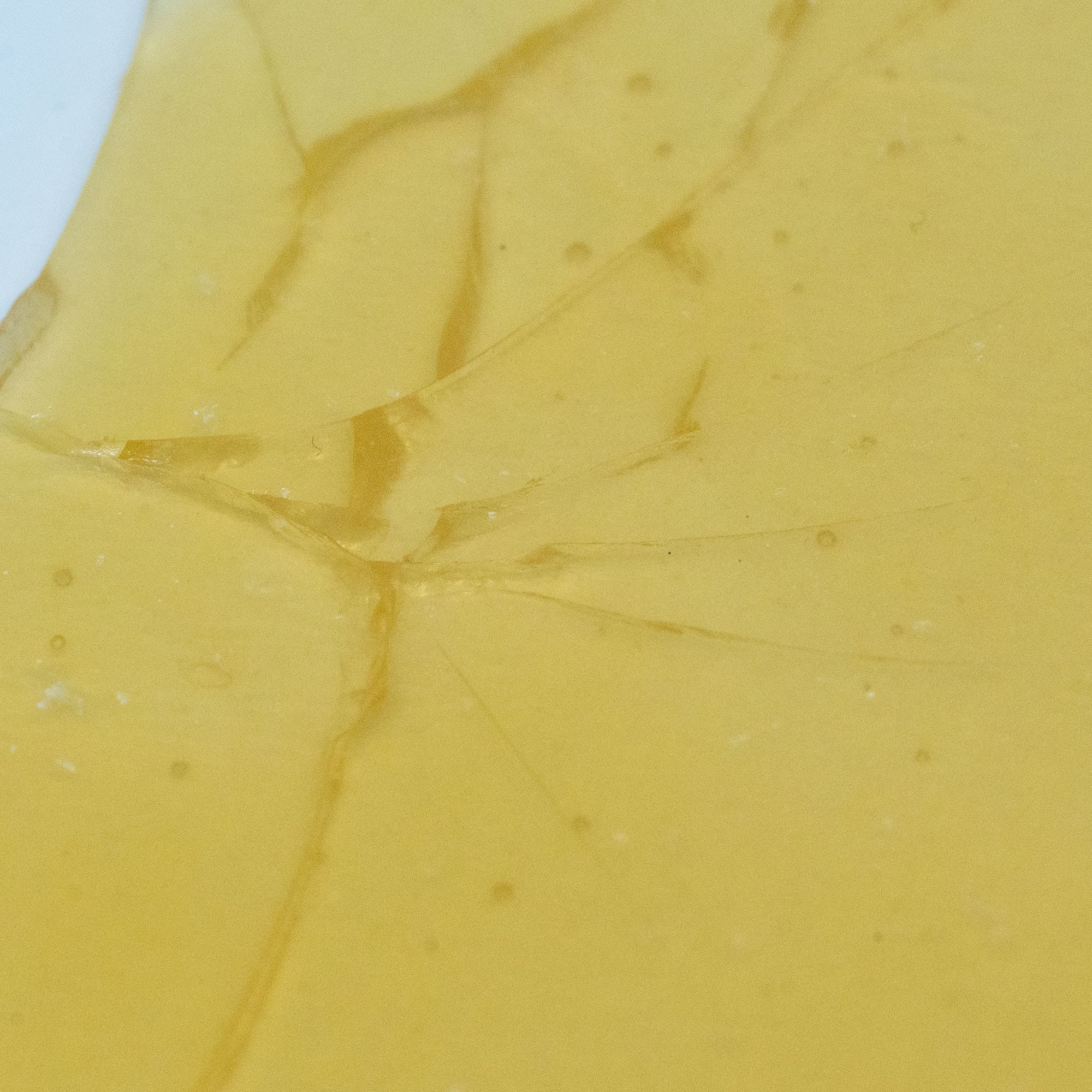 House Shatter - Apple Fritter (Hybrid) - Image 2