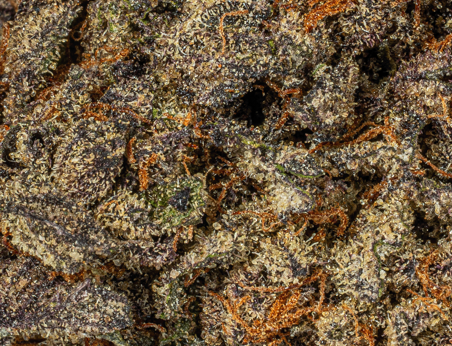 Sticky Grapes (A) - Image 5