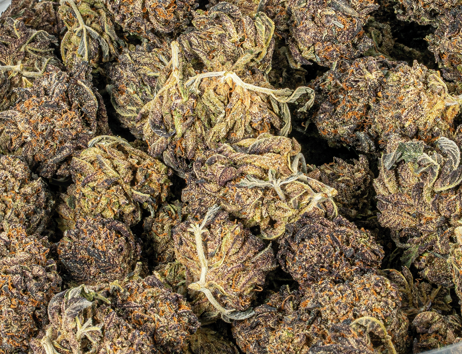 Sticky Grapes (A) - Image 4
