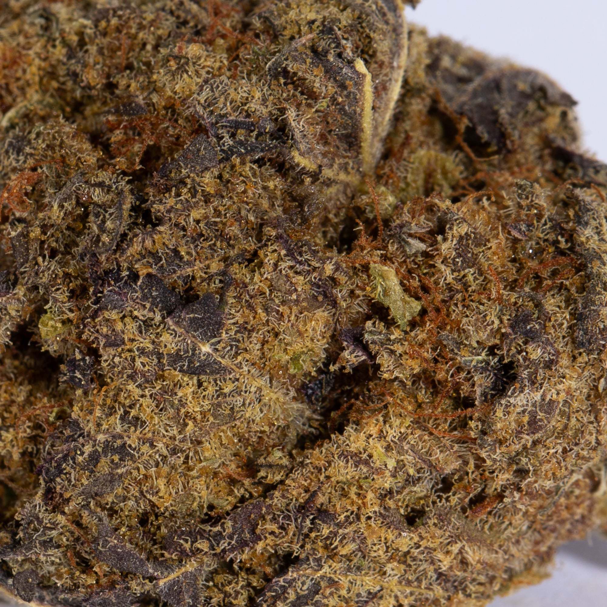 Black Diamond Smalls (AA) - Image 5