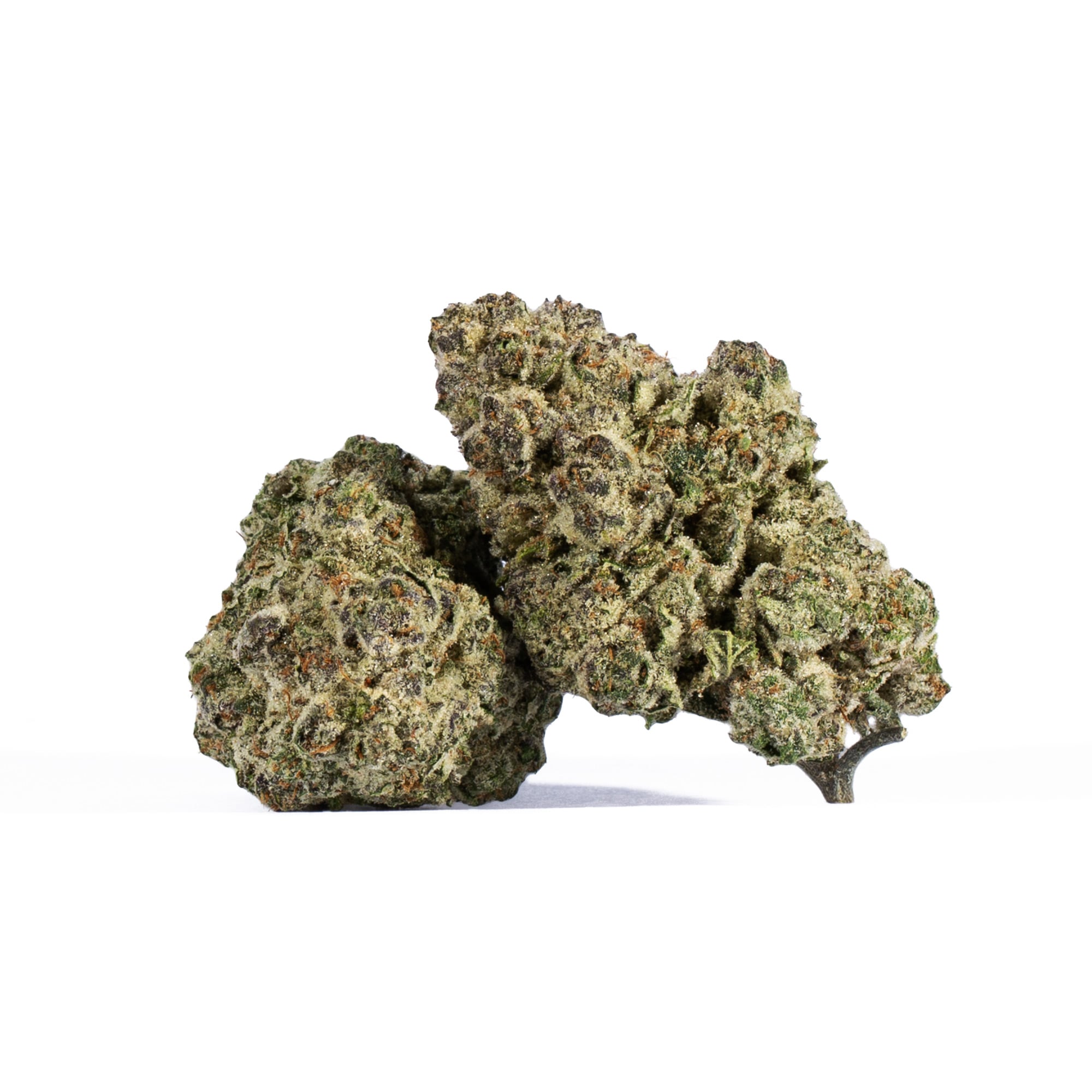 Ricky Bobby OG (AAAA+)
