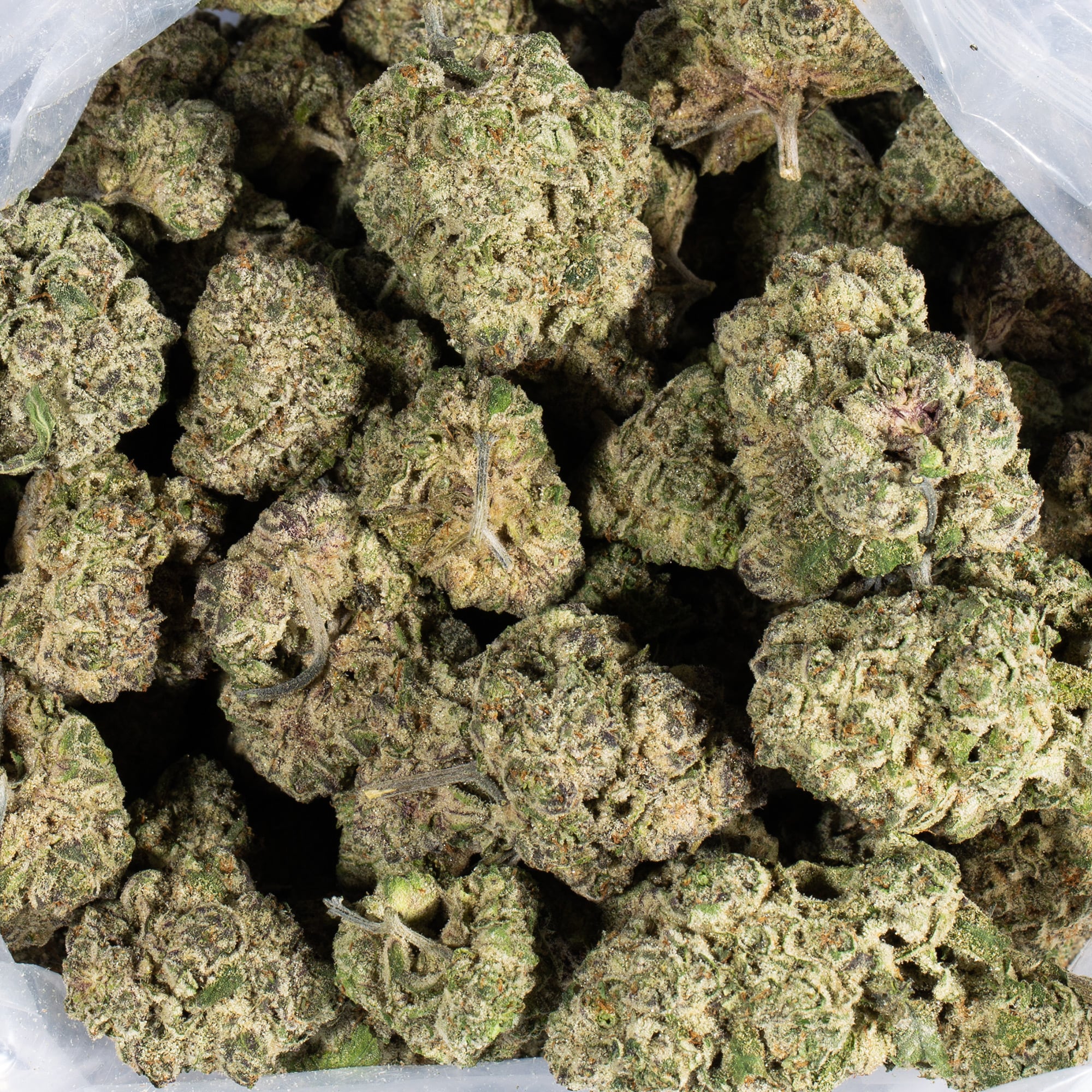 Ricky Bobby OG (AAAA+) - Image 5