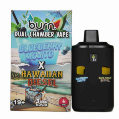 Burn Dual Vape (6g) - Blueberry Cheese + AMG