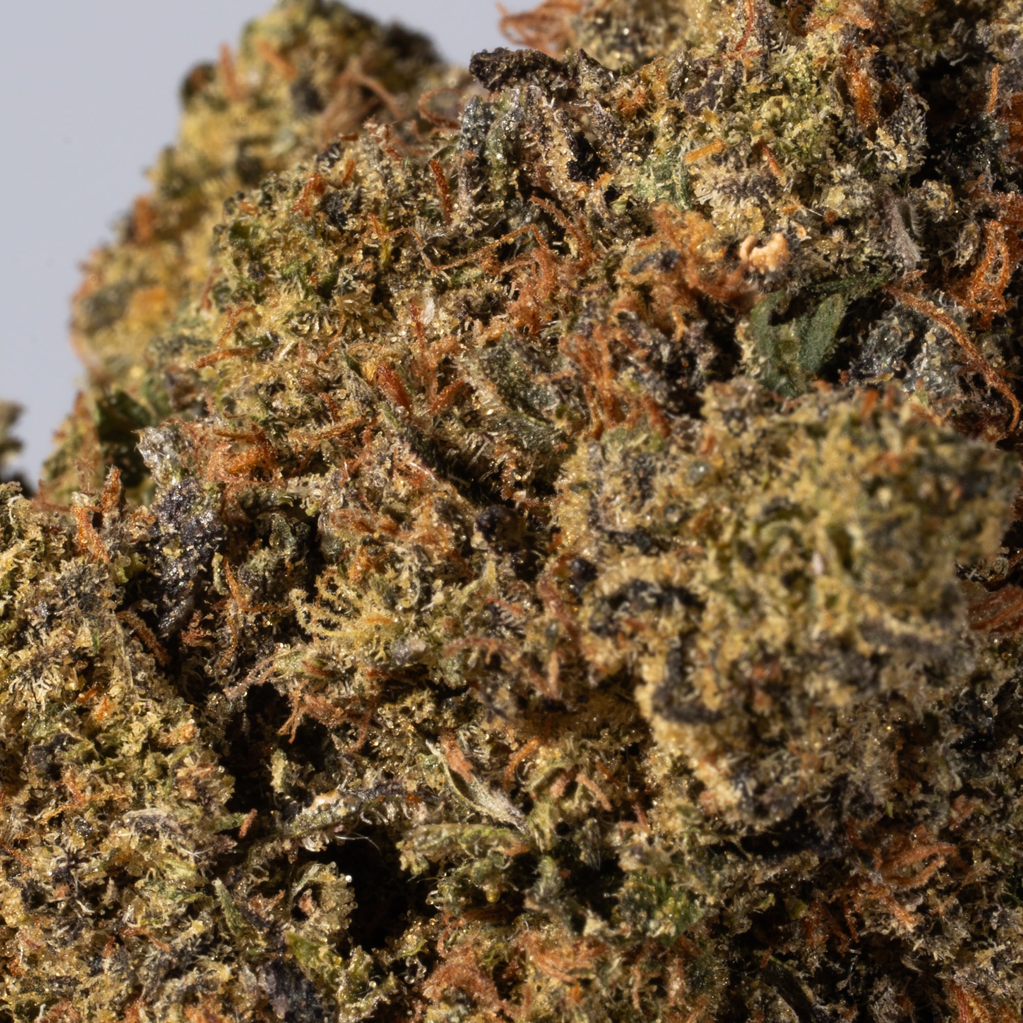 Double Mint (AA) - Image 5