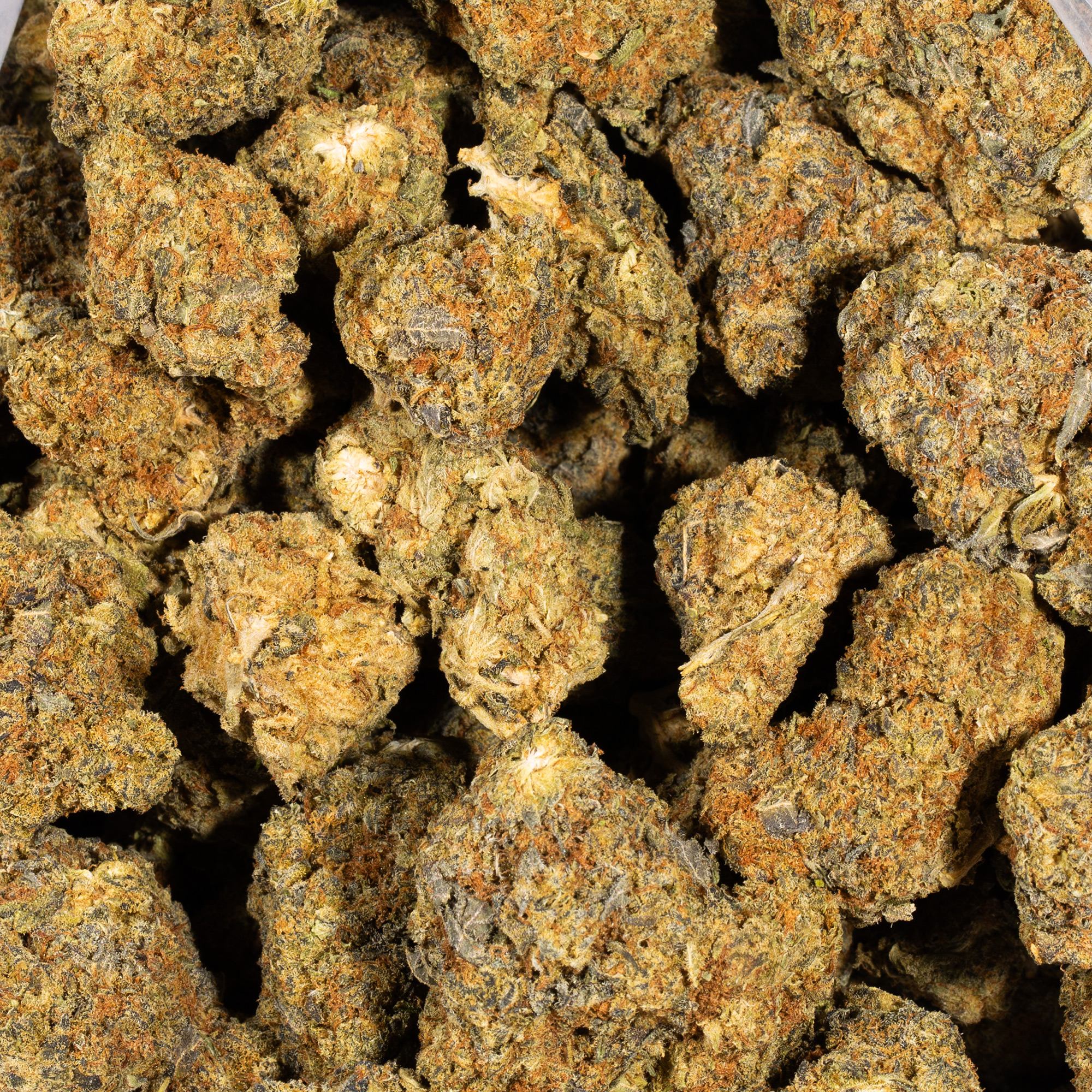 Blue Dream (AA) - Image 5