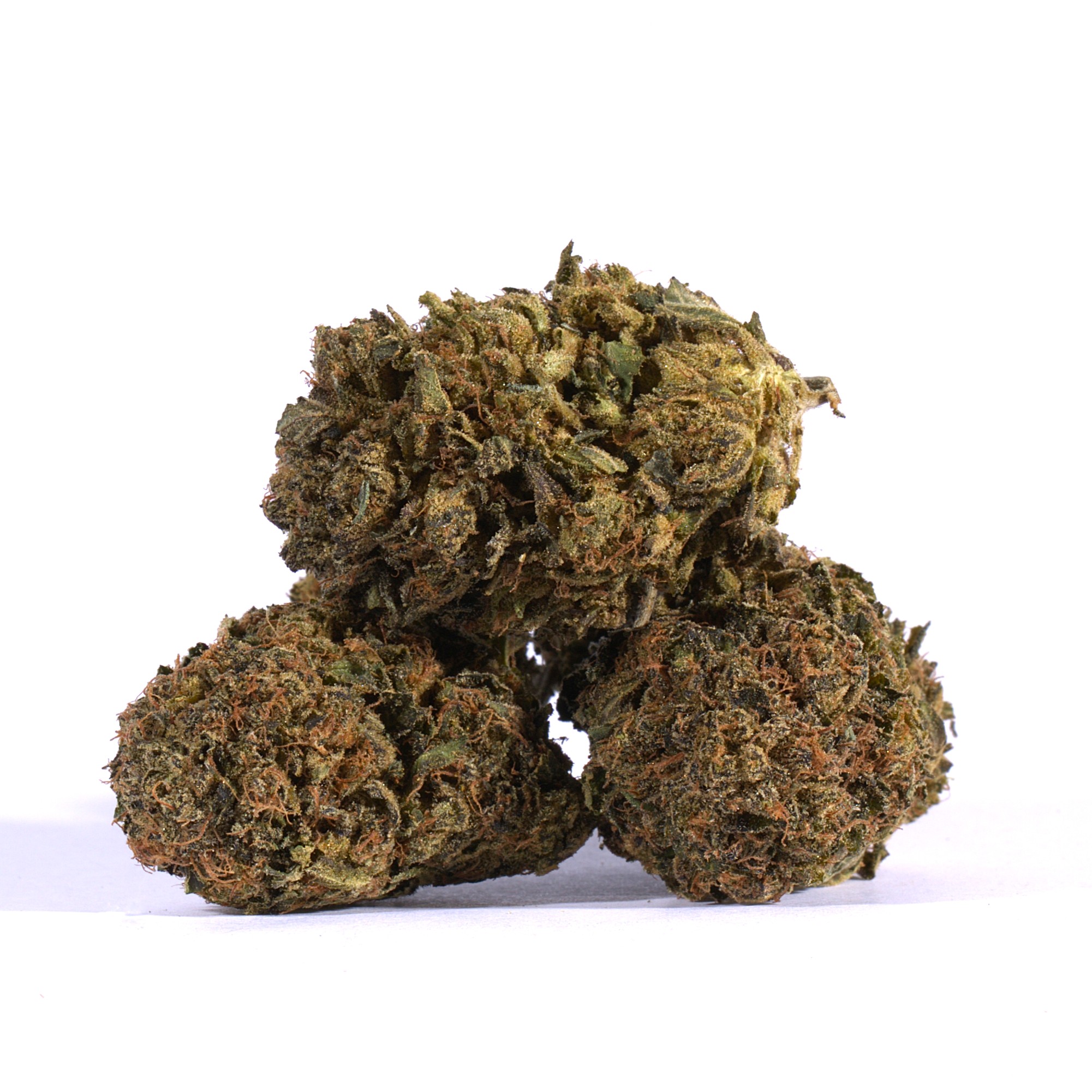 Tropical Breeze (AA) - Image 2