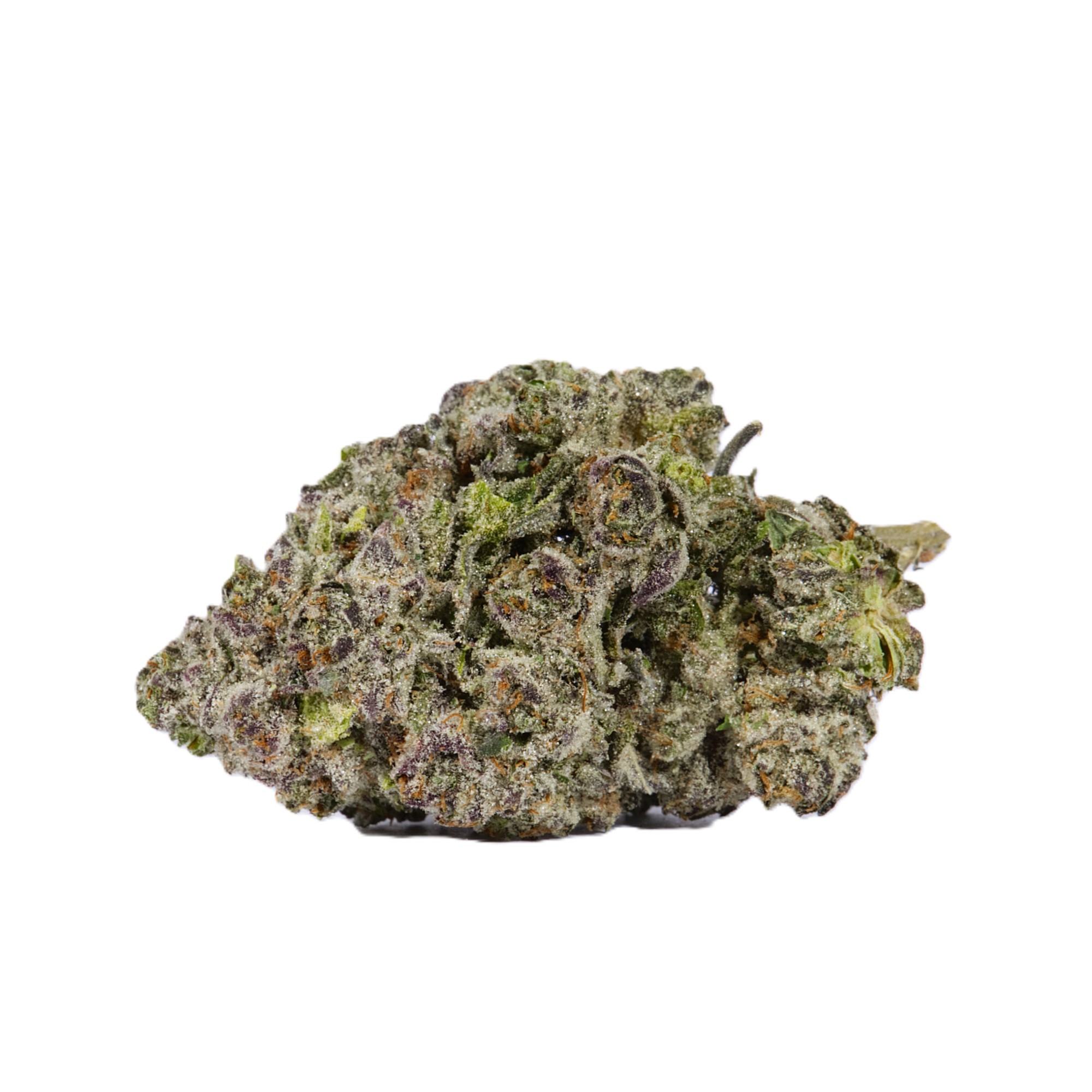 9LB Hammer (AAAA) - Image 3