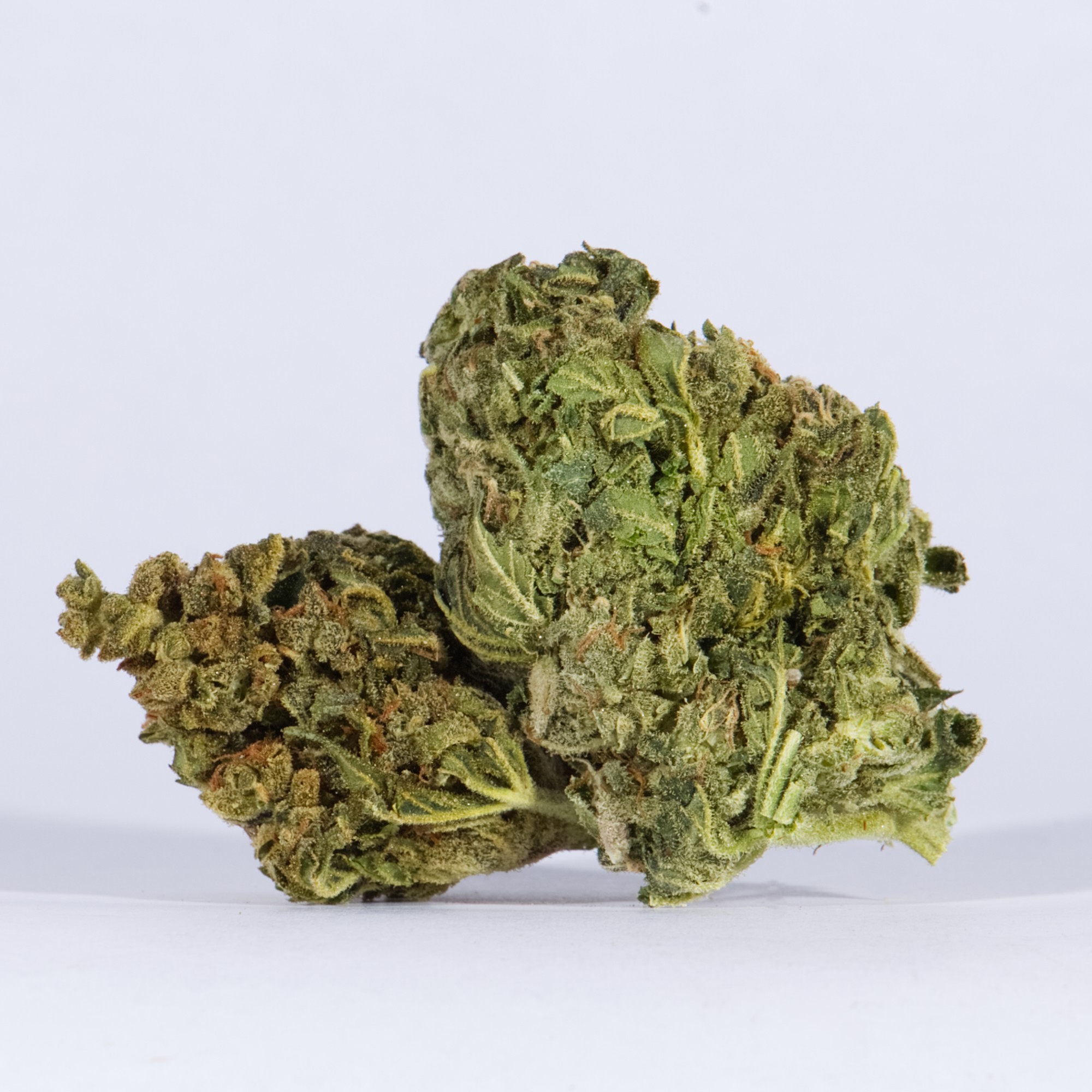 Space Cake (AA)