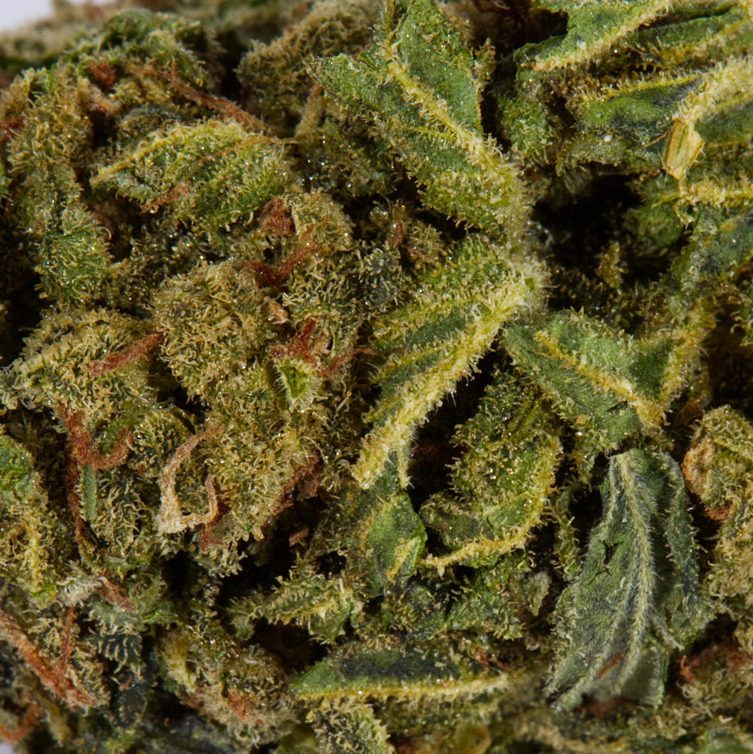 Space Cake (AA) - Image 4
