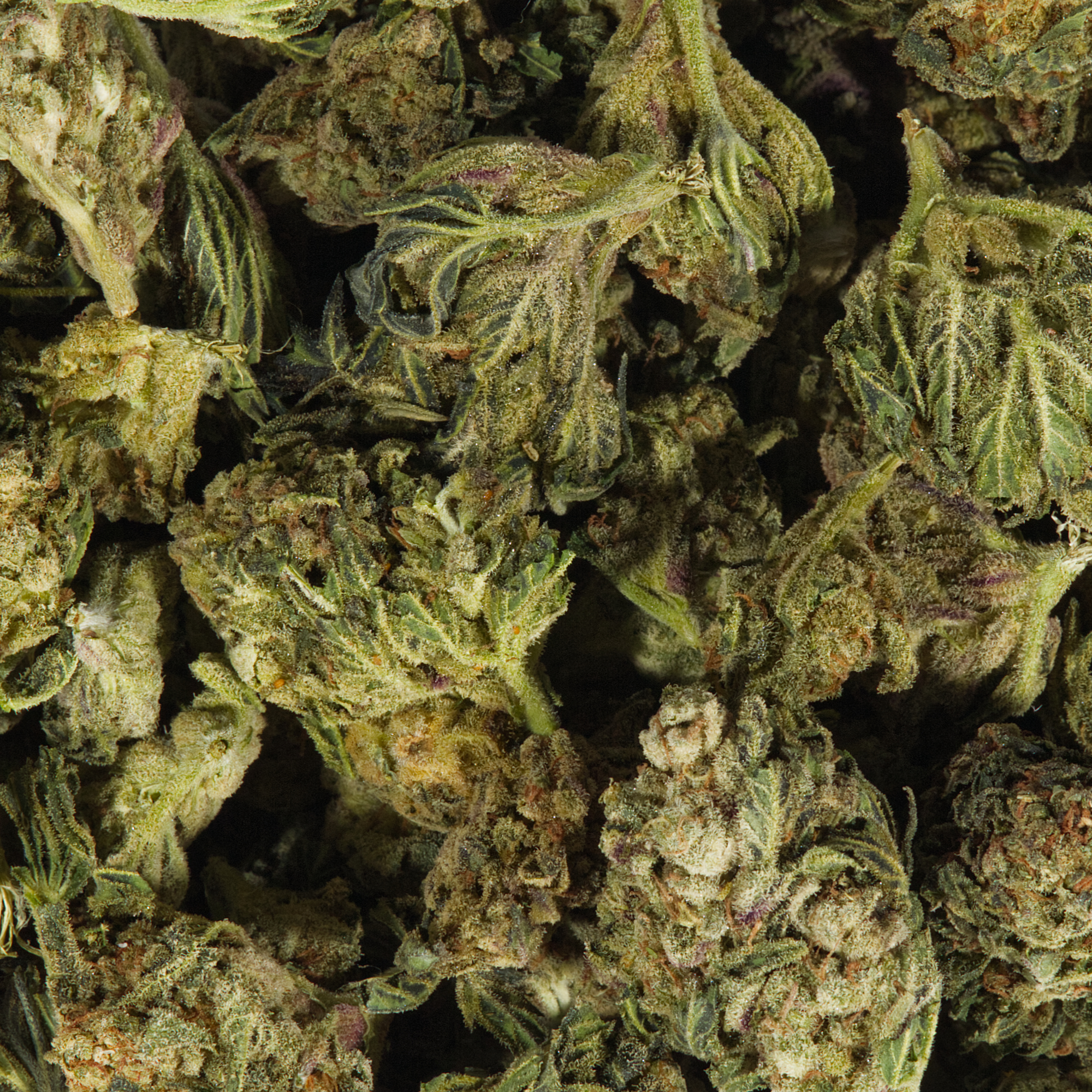 Space Cake (AA) - Image 5