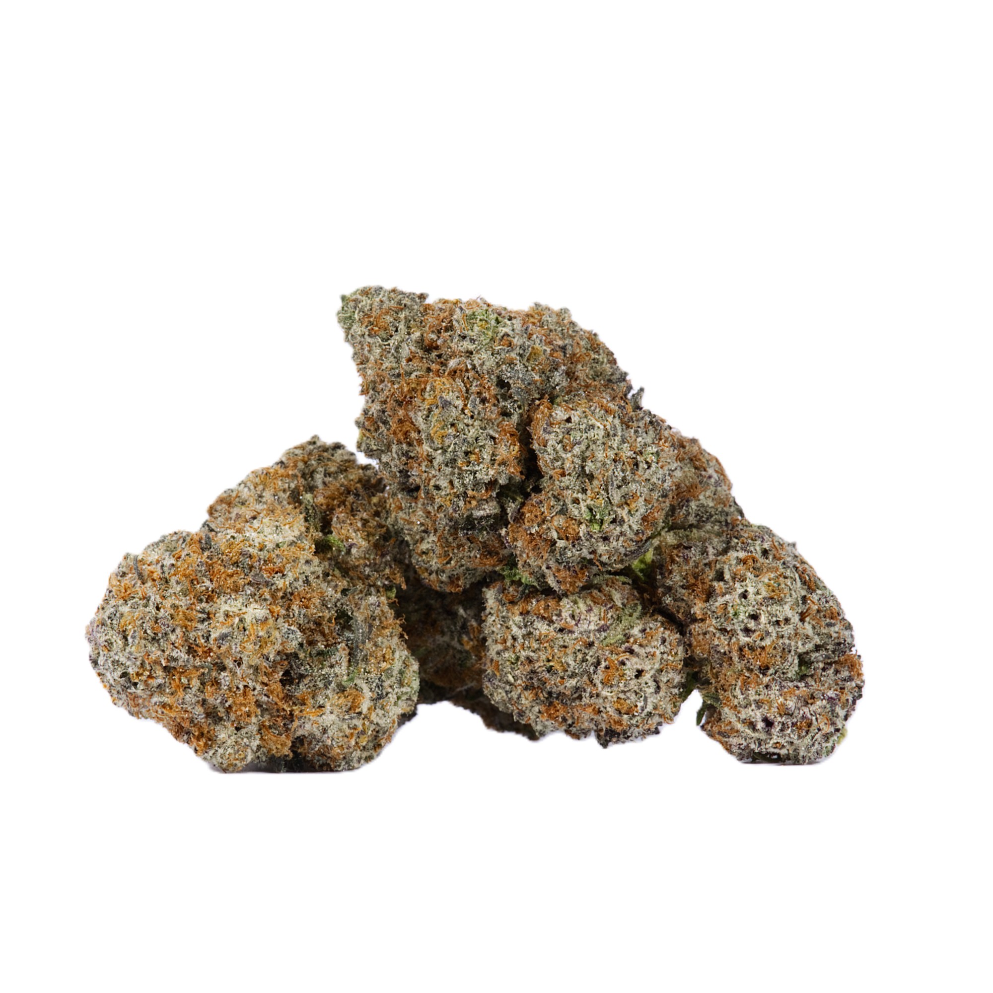 Cactus (AAAA)