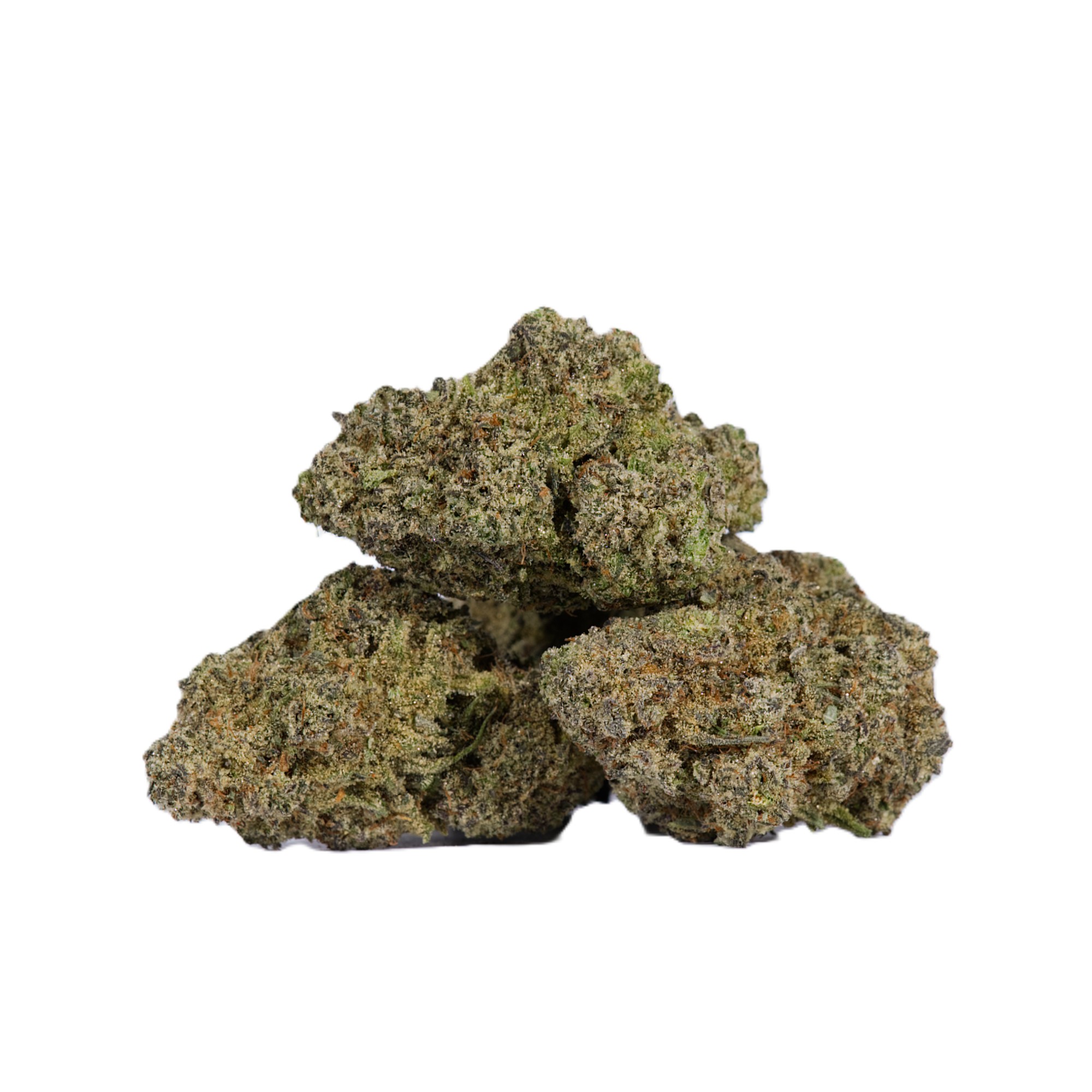 Ghost Dawg (AAA) - Image 2
